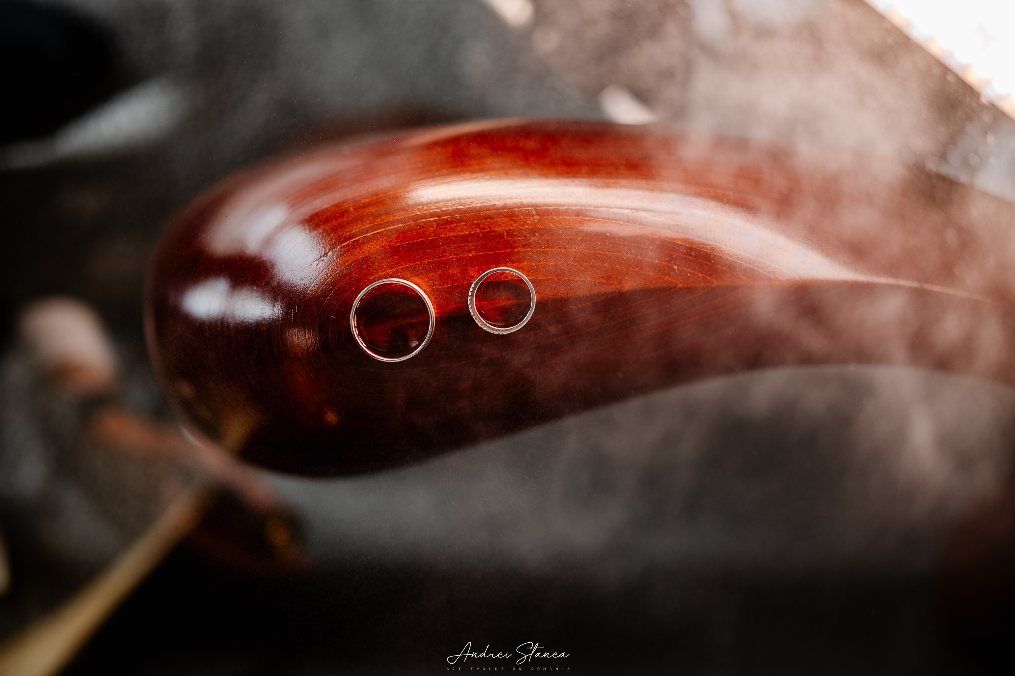 Daniela & Mircea. Andrei Stanea