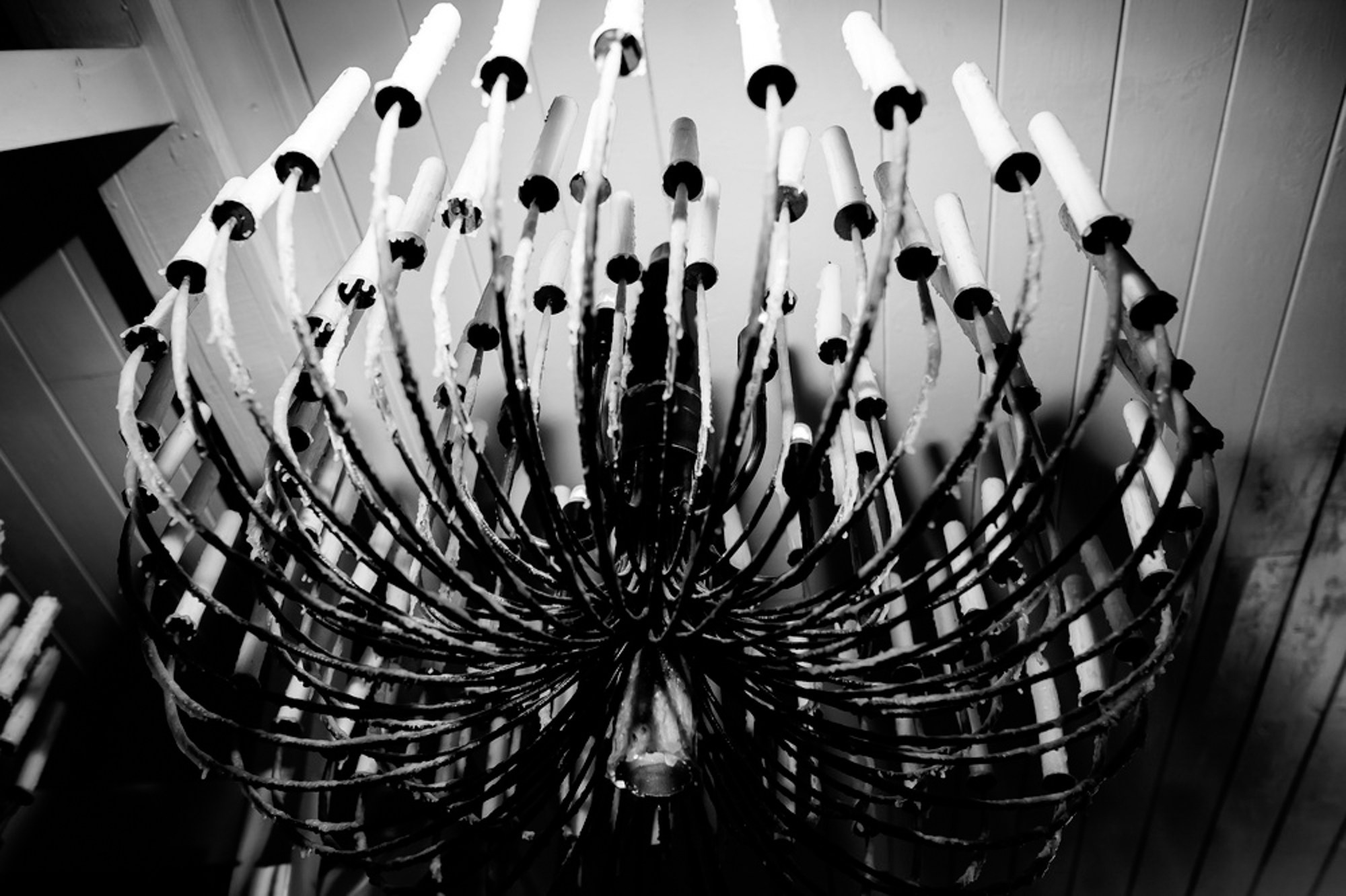 Весільна фотосесія в Чернігові. Photokostin.com