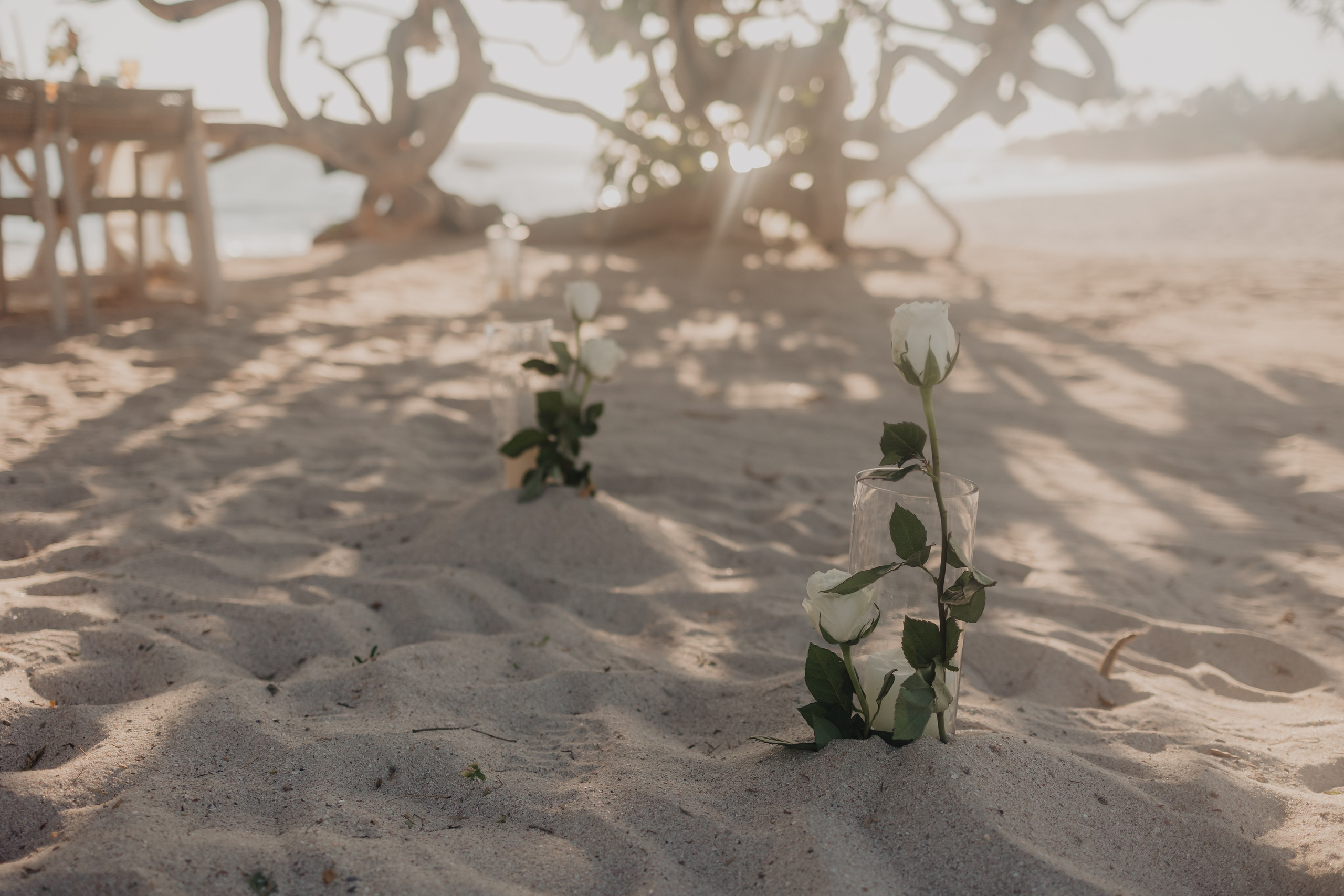 Punta Mita Engagement Session: Love Framed by the Pacific