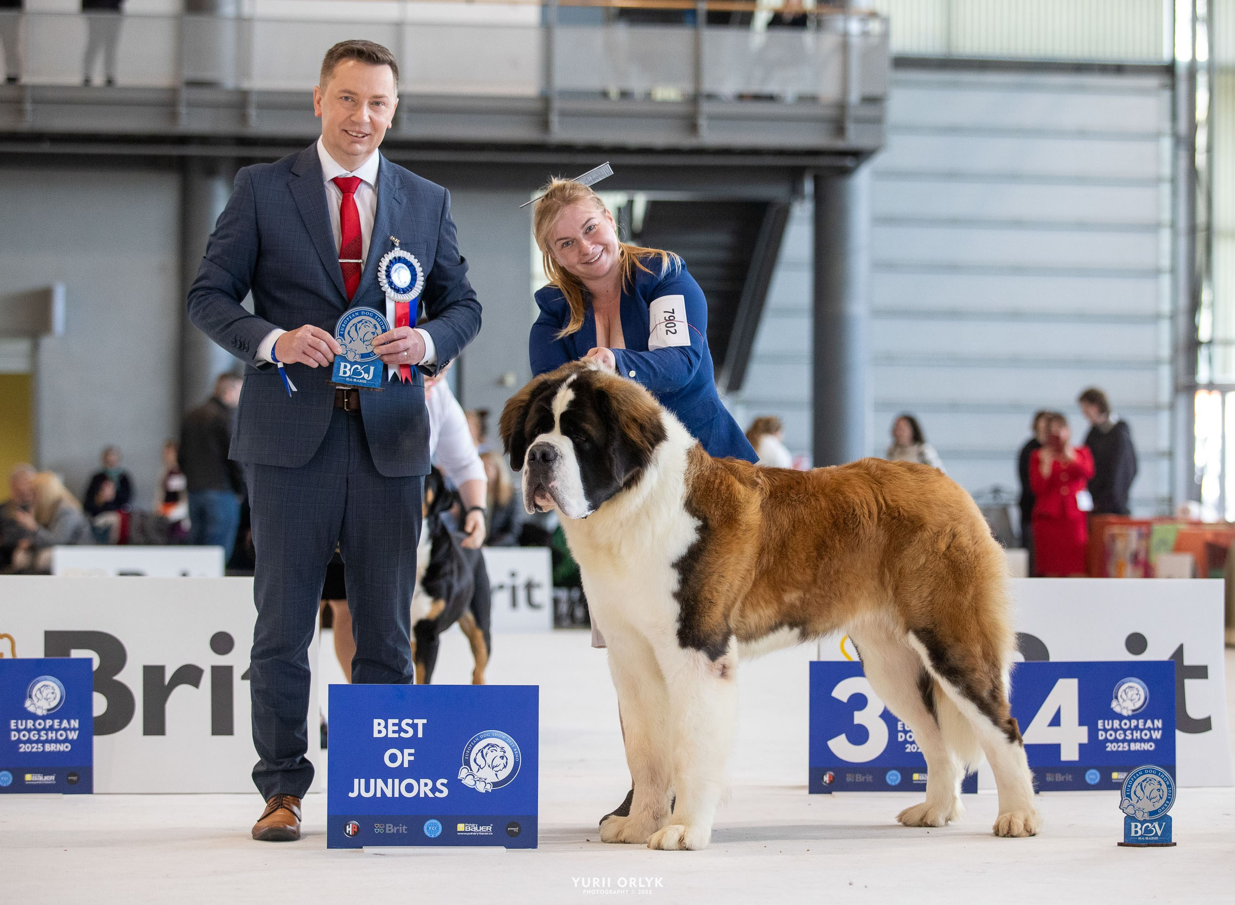 Dog Shows. Yurii Orlyk Photography