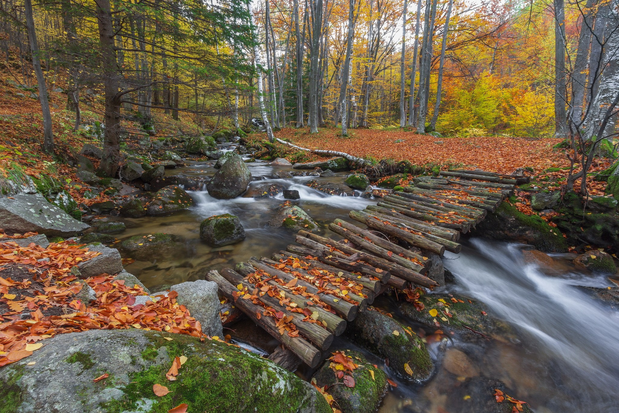 Планини. Александър Сандев - website