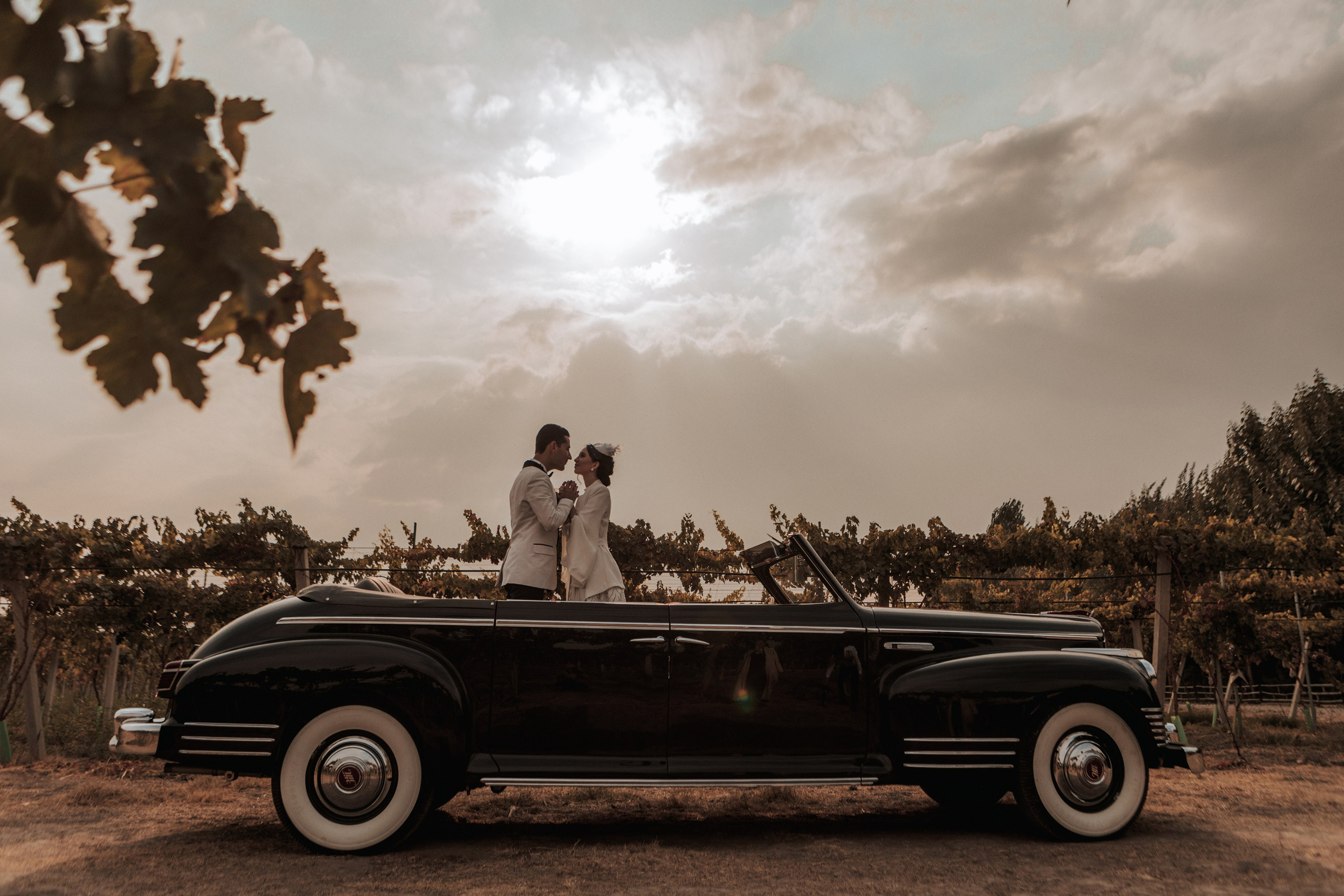 Тоскана. Фотограф Вероника Яцына в Ташкенте