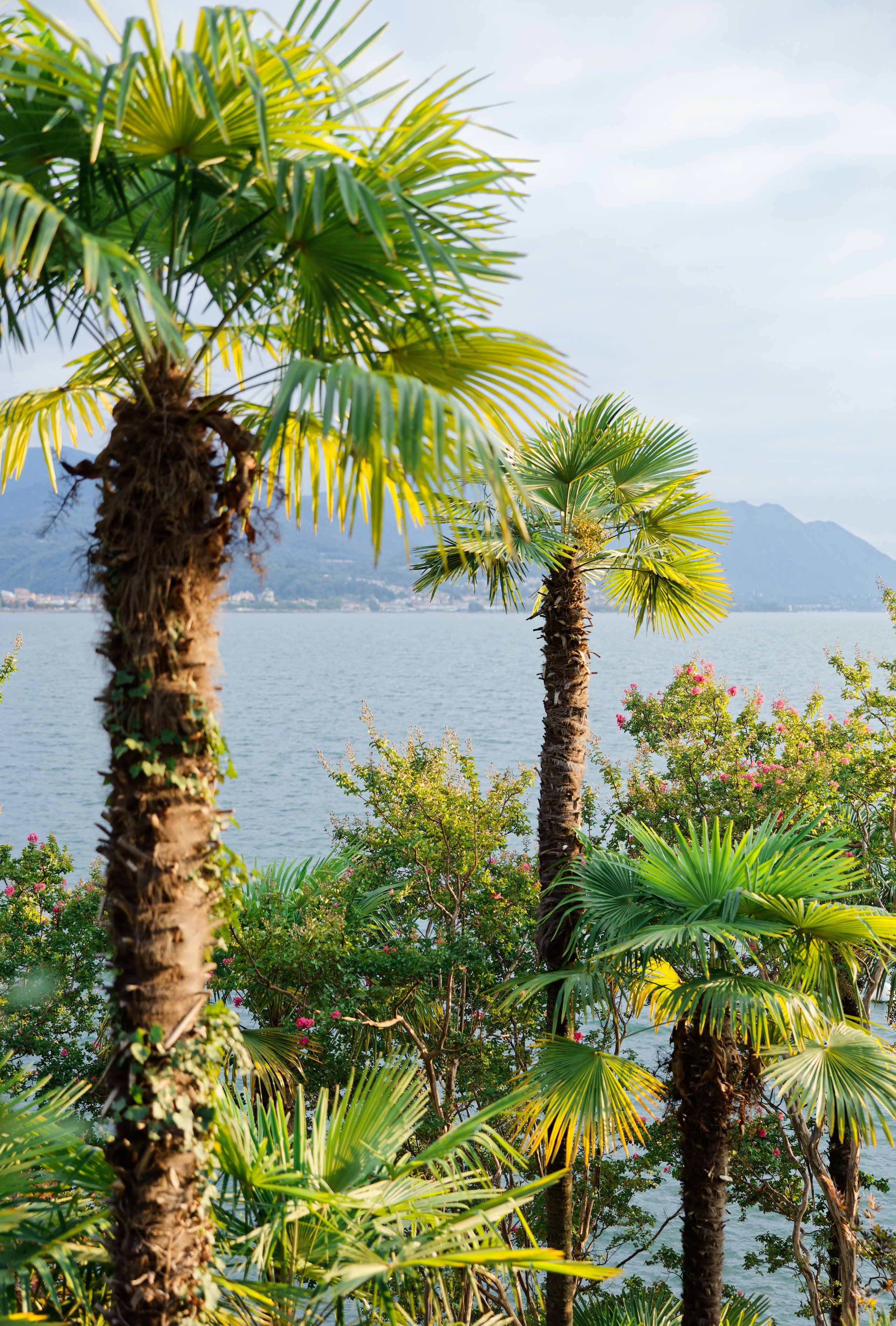 Wedding at Villa Porta on Lake Maggiore