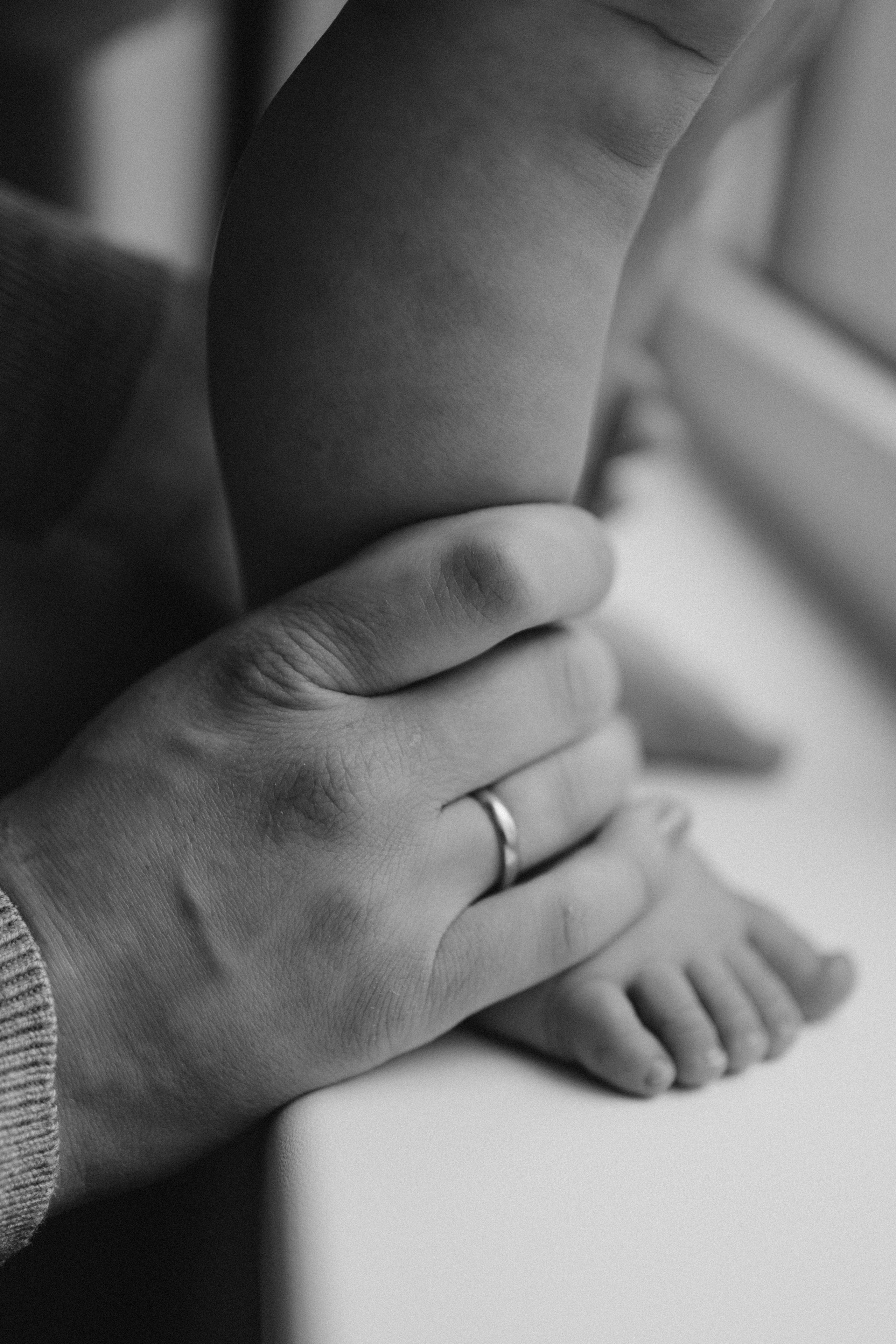 DITAS ģimene. GALVENĀ