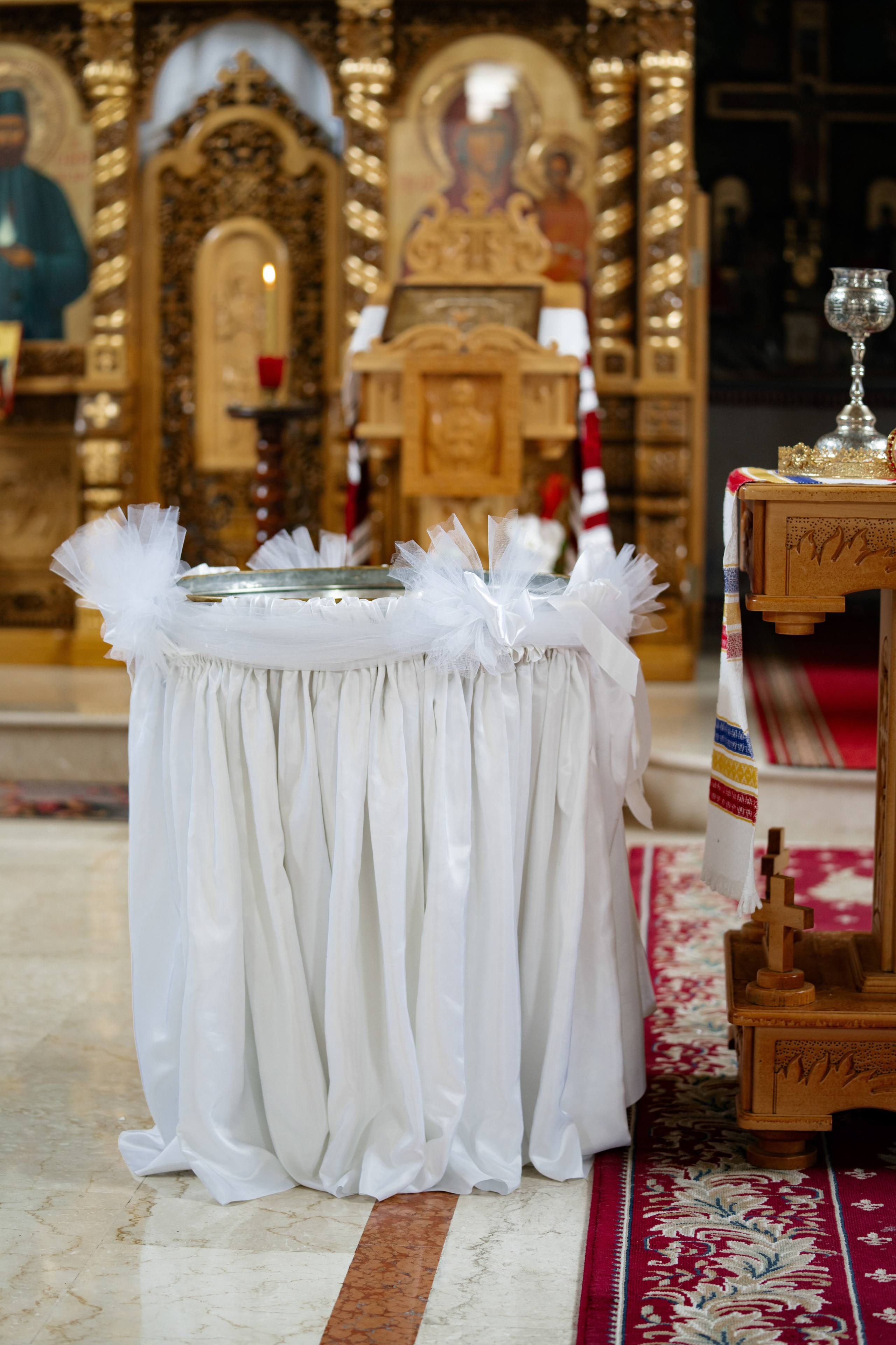 Adele Mari. Studio Timis