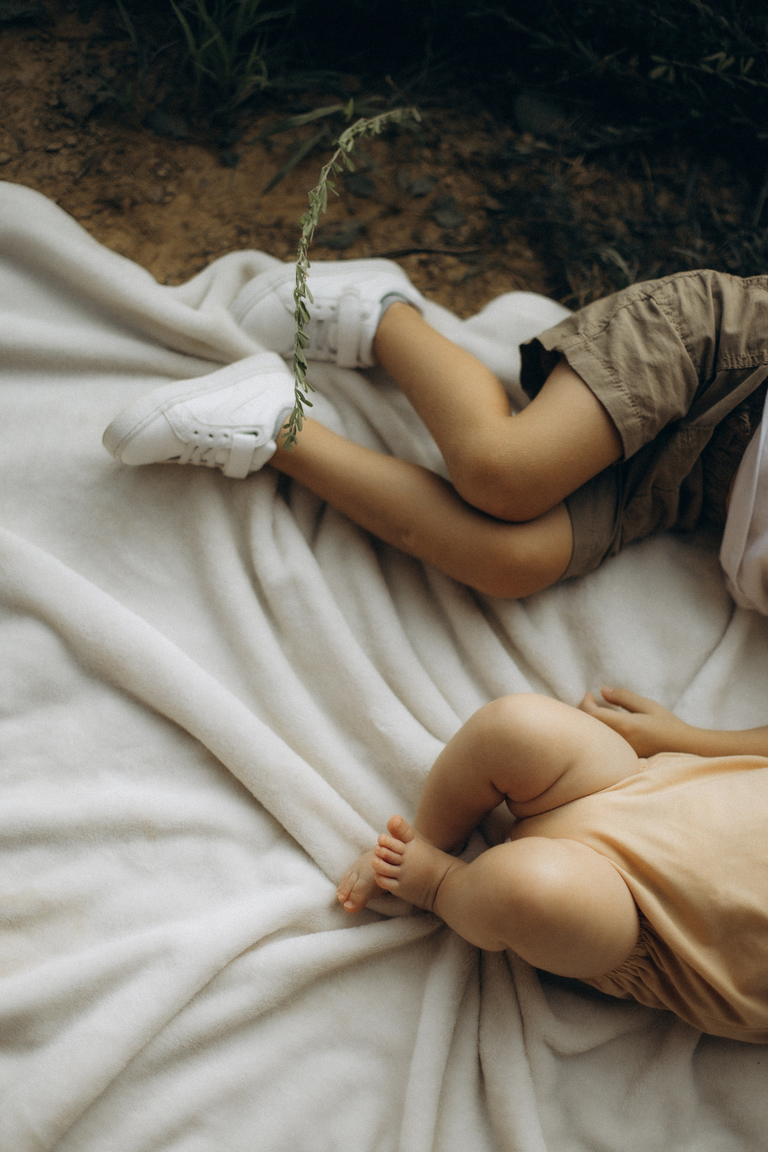 The Woods. CAPTURED BY SHANKS PHOTOGRAPHY