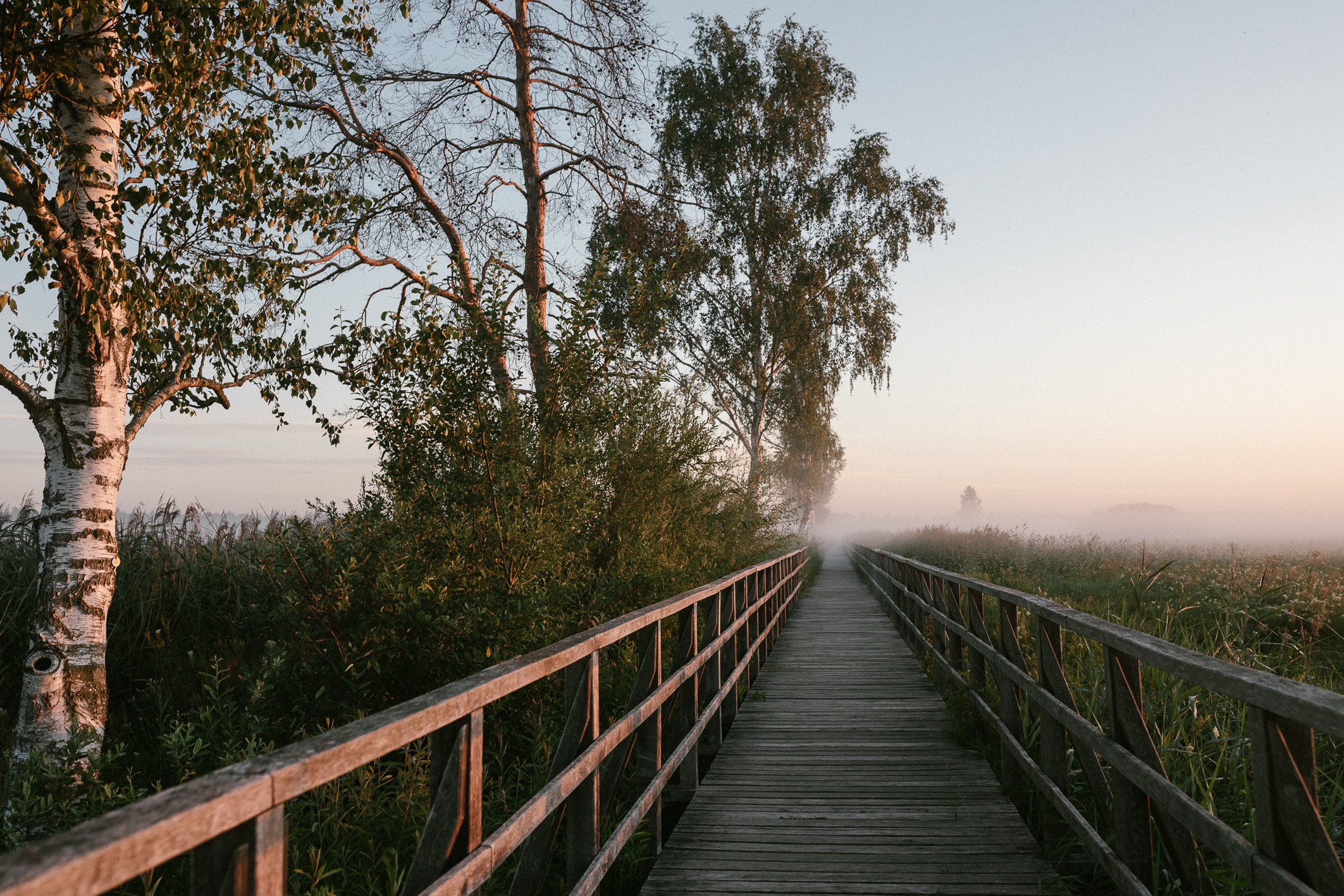Morgenportraits im Nebel | Federseesteg Sonnenaufgang Fotografie. Hochzeitsfotograf Bodensee & Allgäu | Liliana Berkut