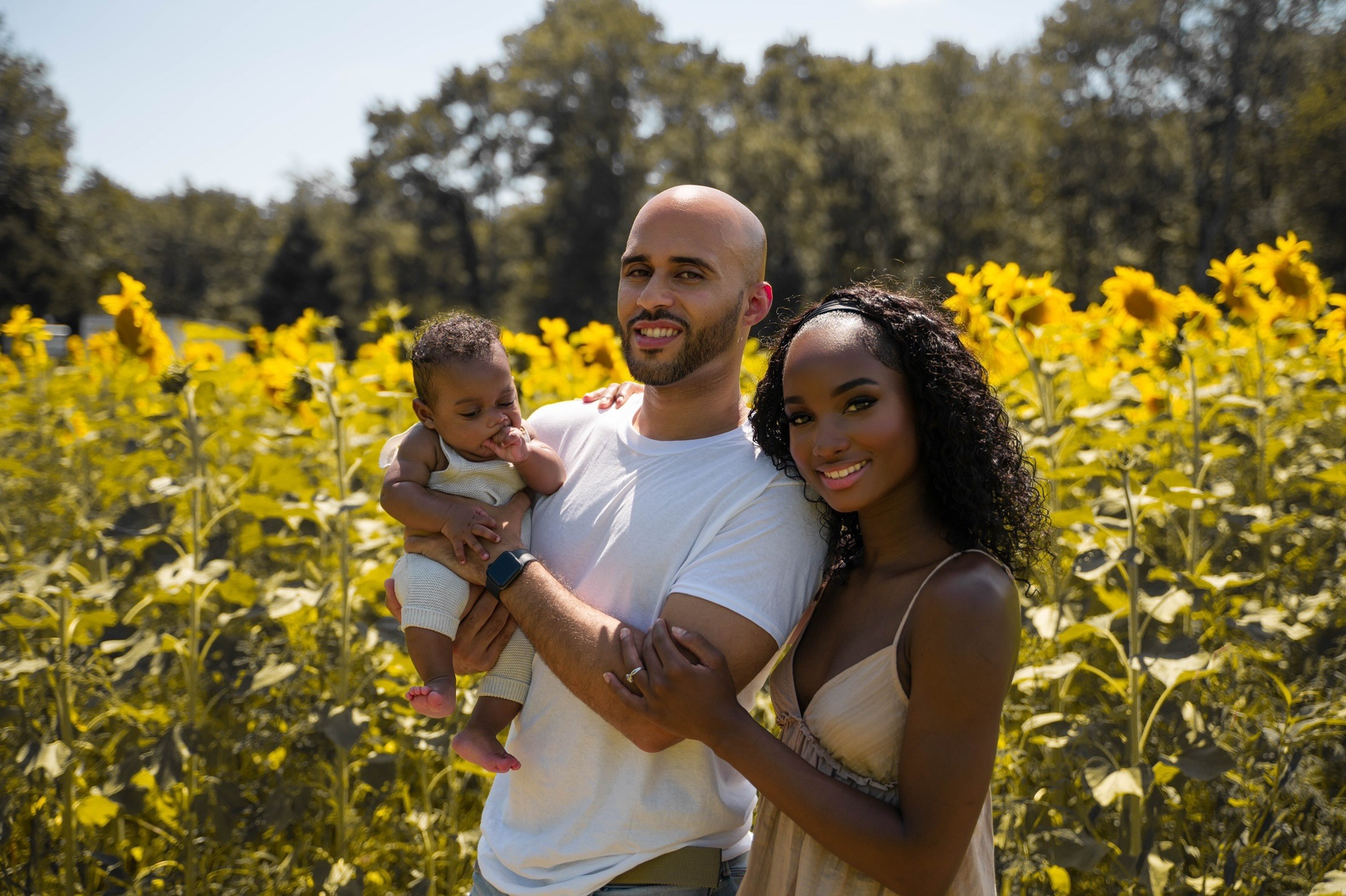Jennifer and Louis at Sunflowers Farm. Stefanovich Photography | Boston, MA