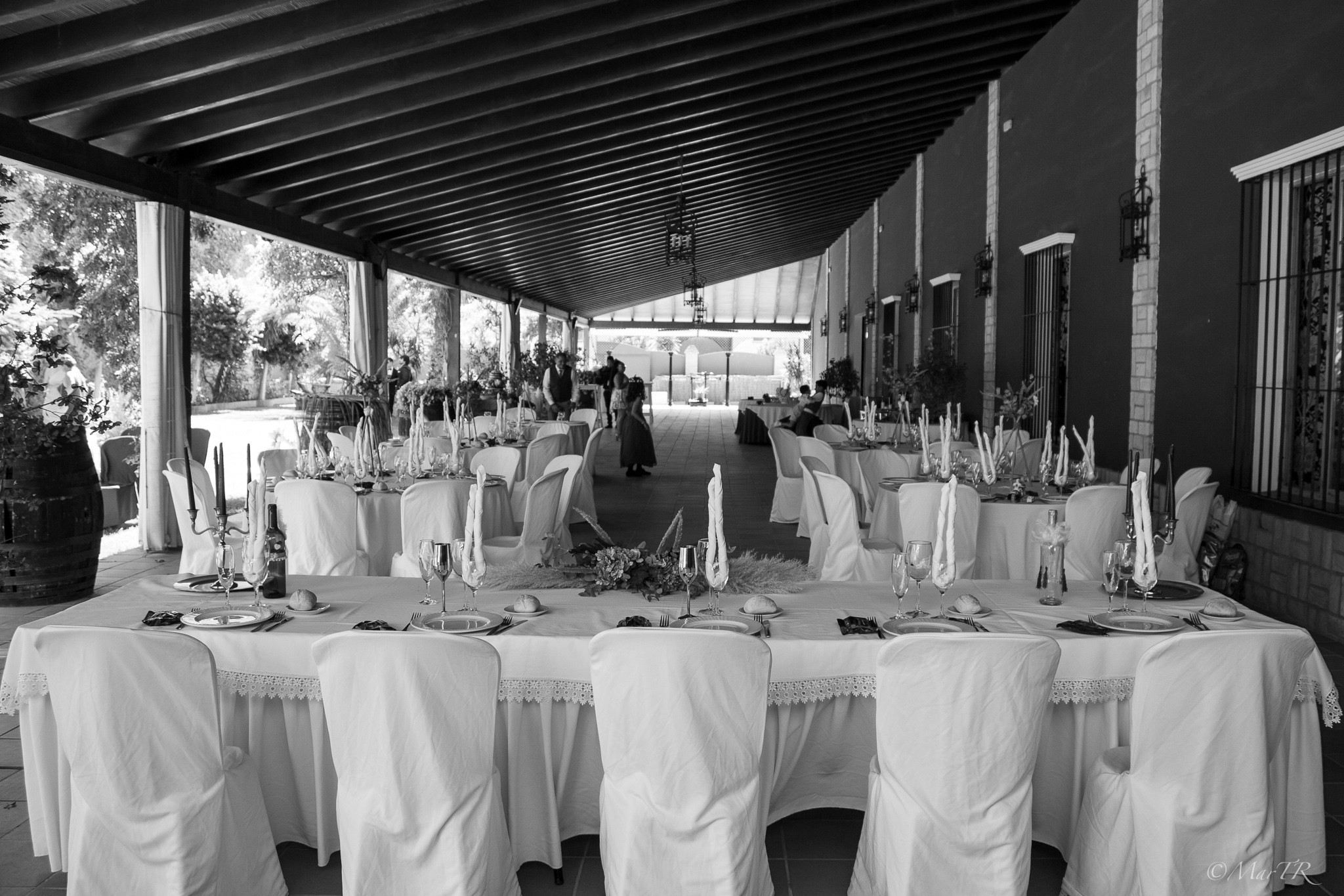 Bodas. Fotos con huella, fotografía de perros y mascotas en Sevilla