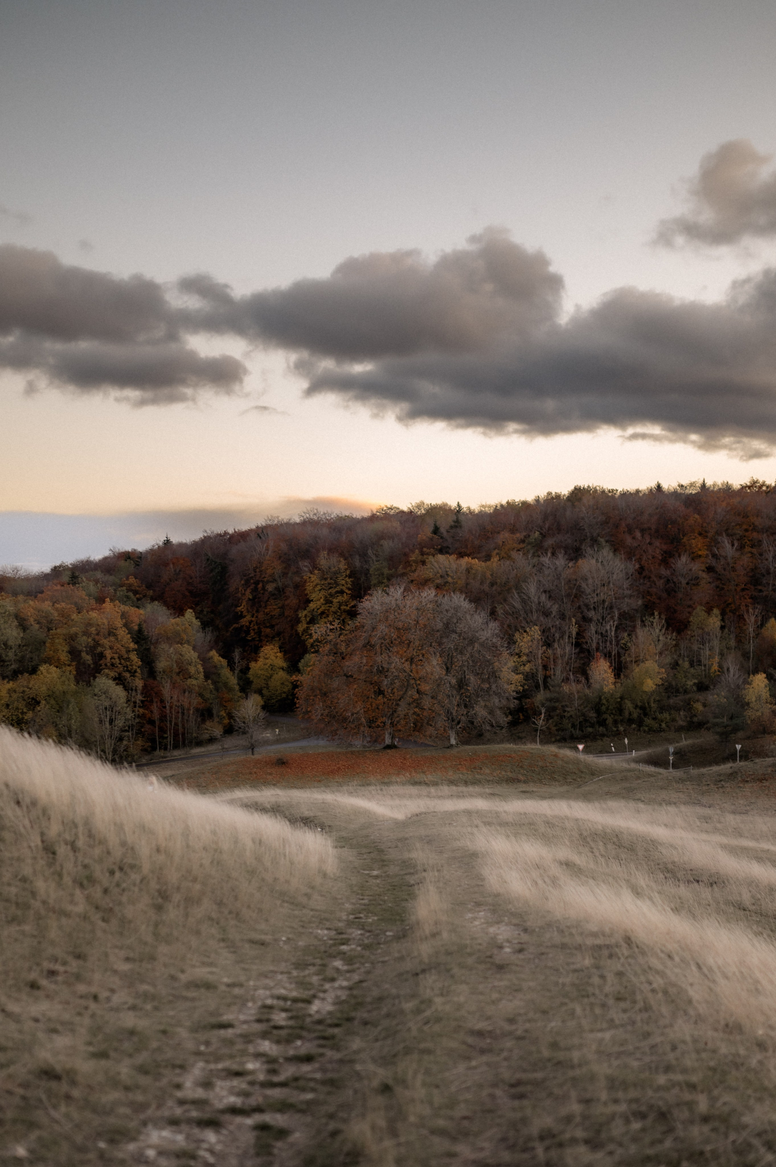 Wenn der Wind flüstert | Paarshooting am Gelben Berg. Photographer in Nuremberg Irina Mehnert from Ansbach