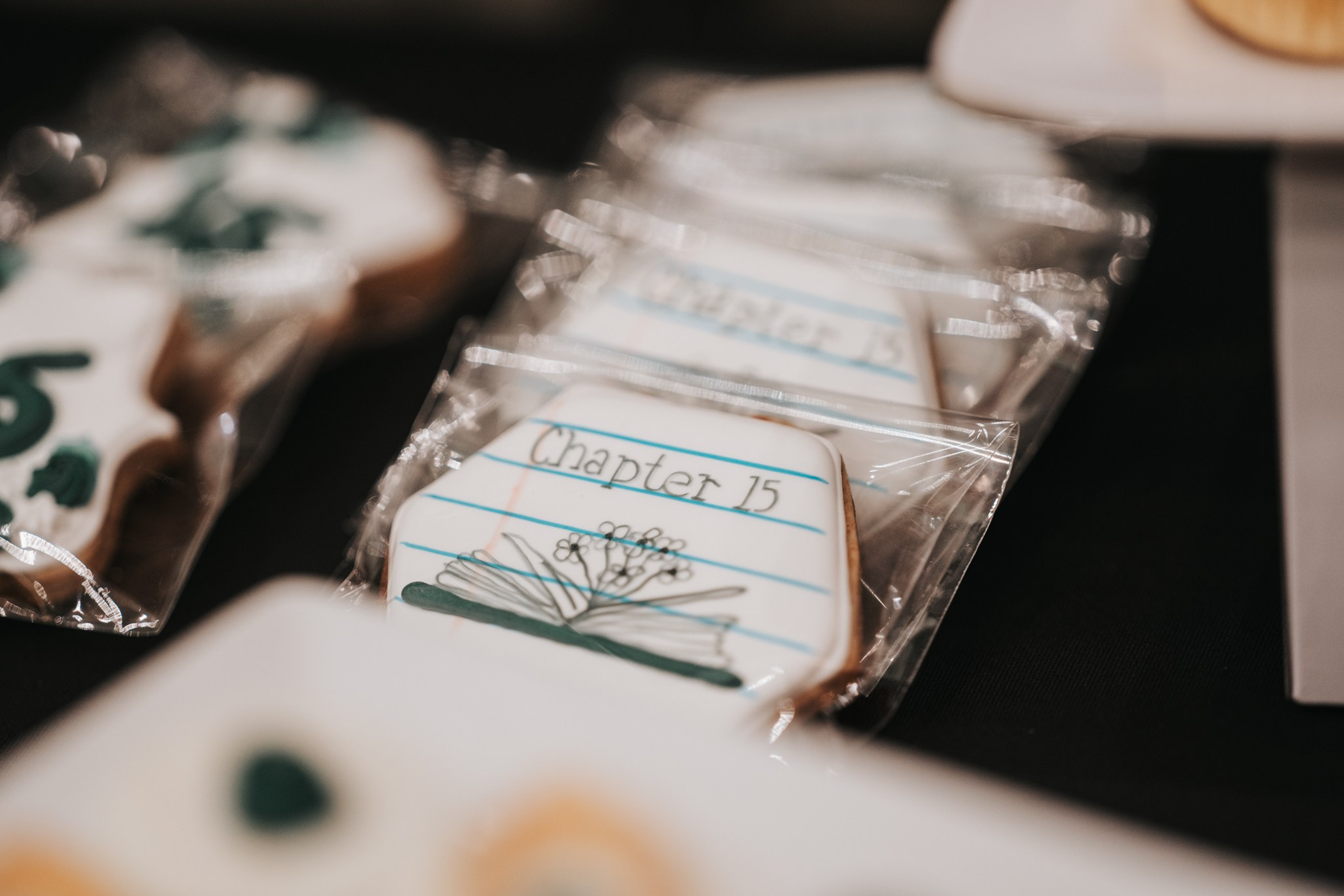 Syenna’s XV. J&T Photo Art