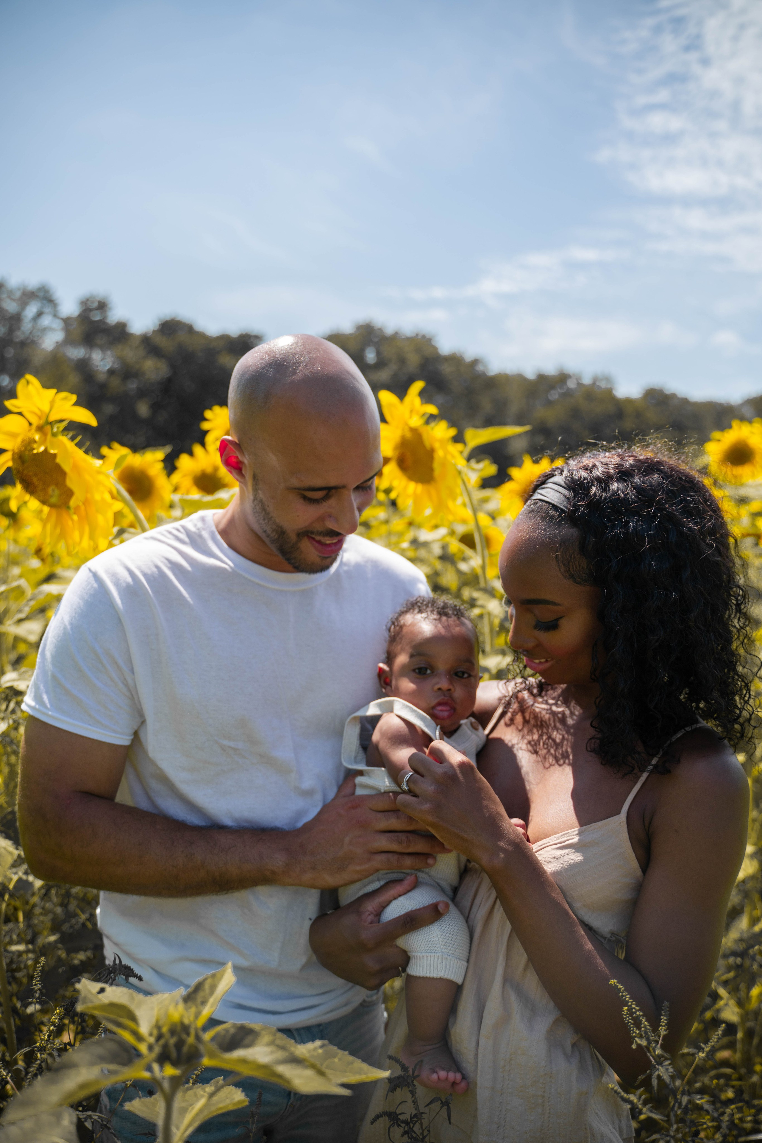 Jennifer and Louis at Sunflowers Farm. Stefanovich Photography | Boston, MA