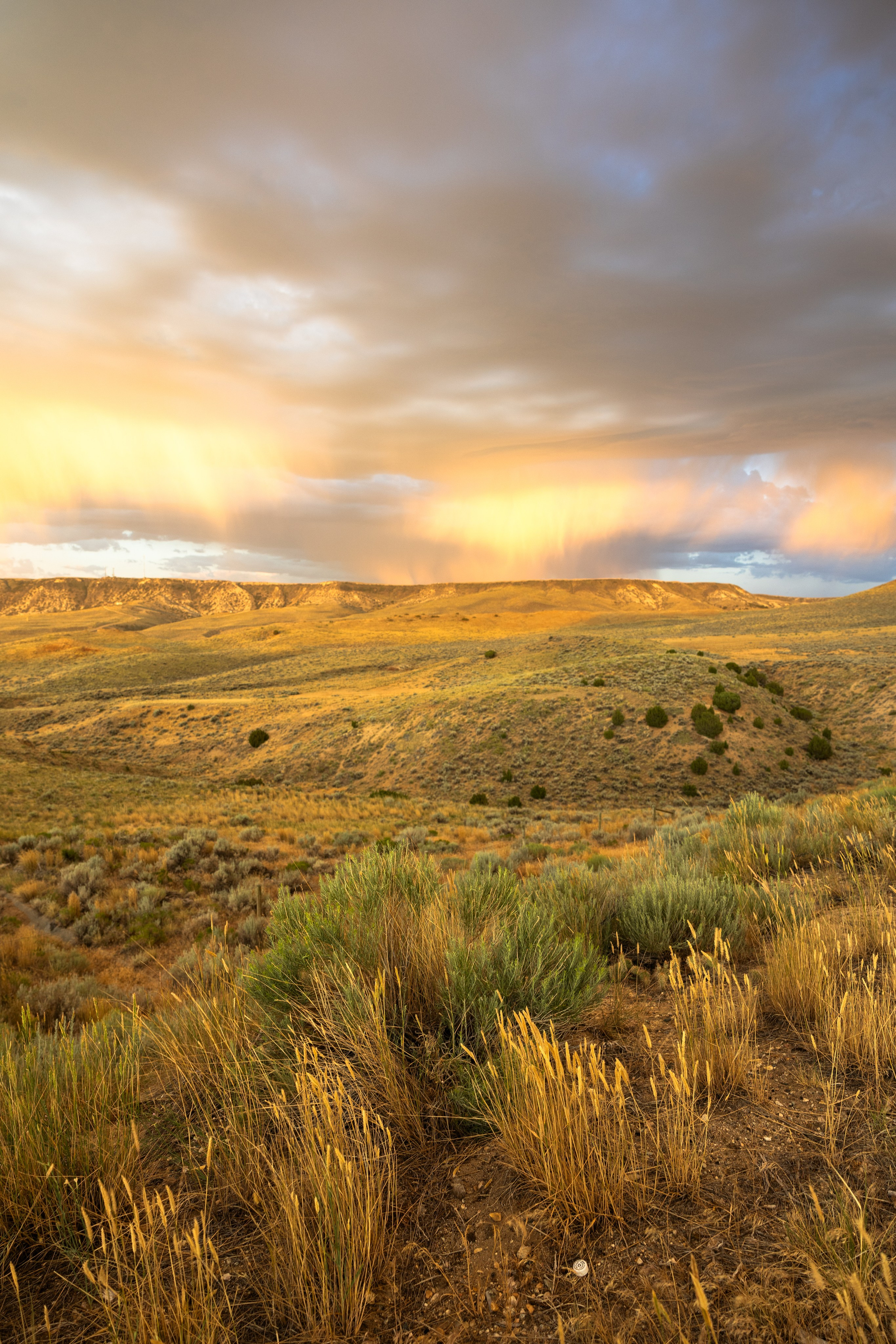 Wyoming. Family Lifestyle Photography