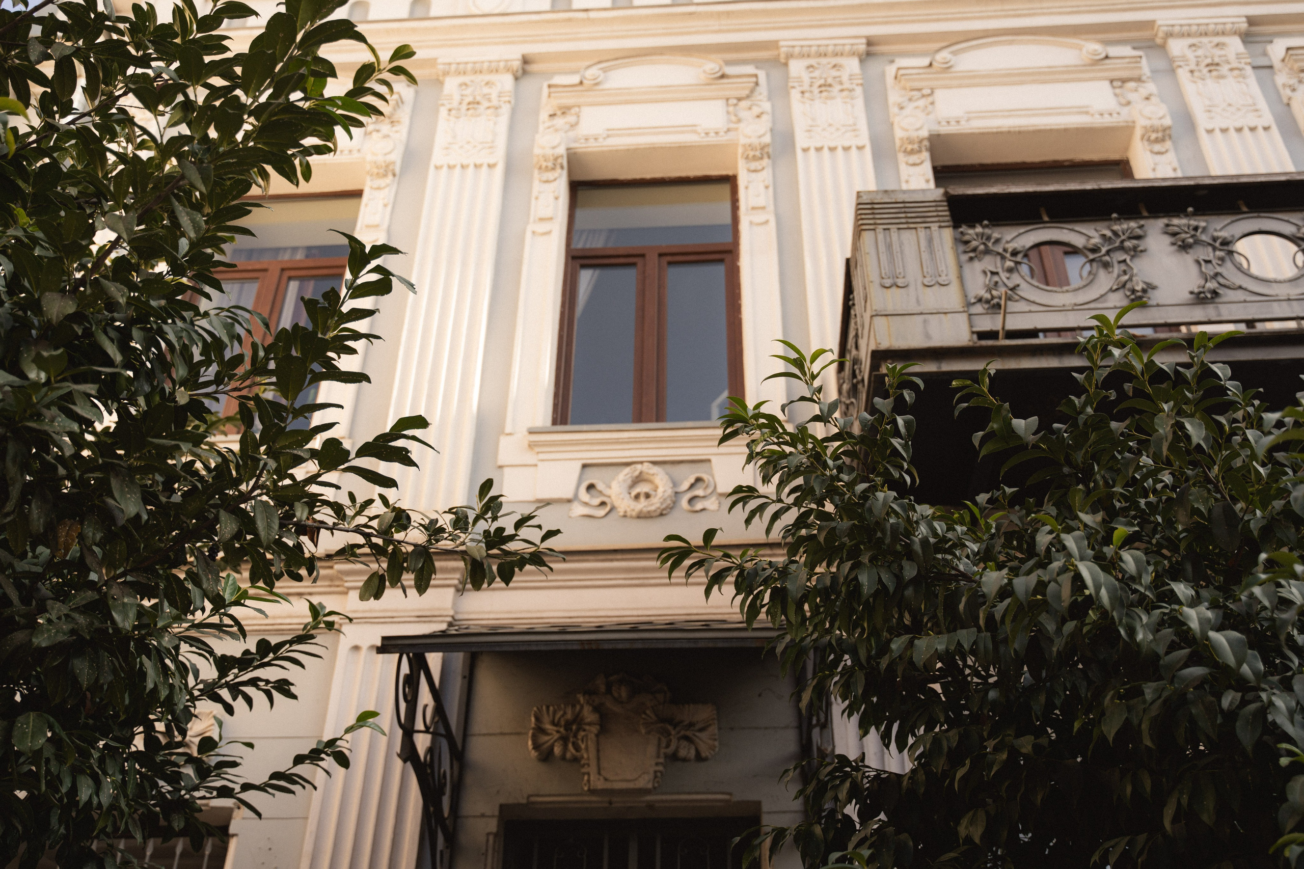 Tbilisi, February. Дарья Филькова — фотограф и видеограф в Тбилиси, Грузия