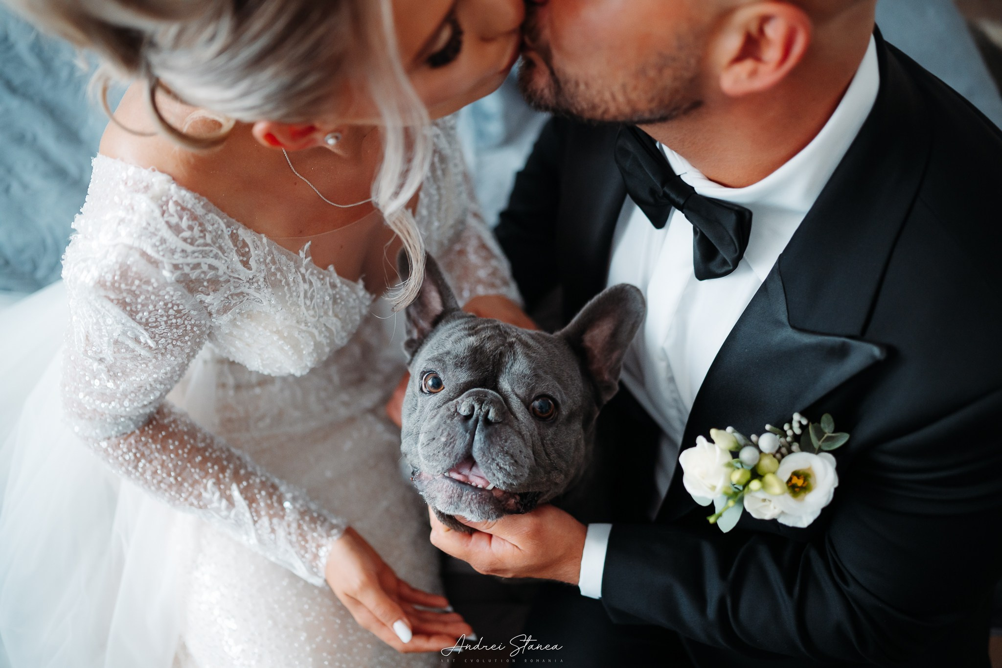 Portofolio. Andrei Stanea