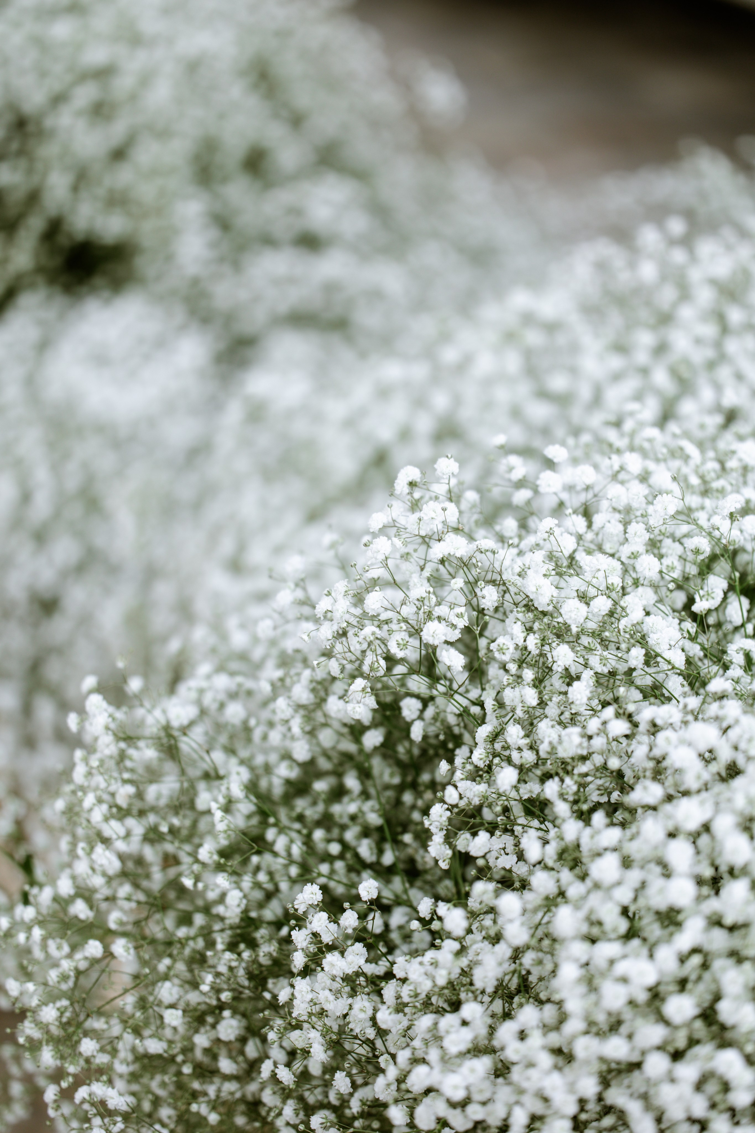 Nan & Brian. Photographer in Paris