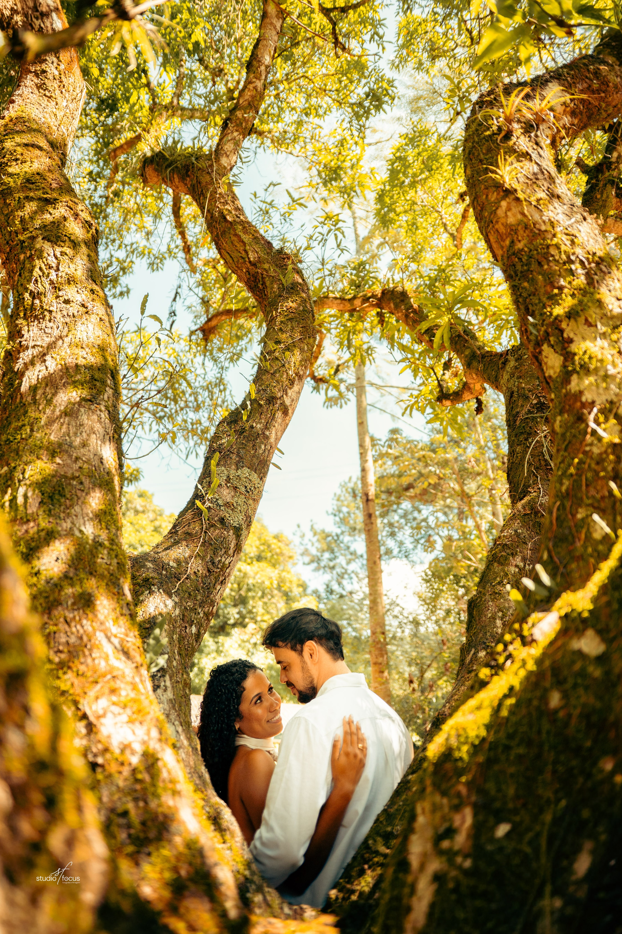 Pré-Wedding com pets