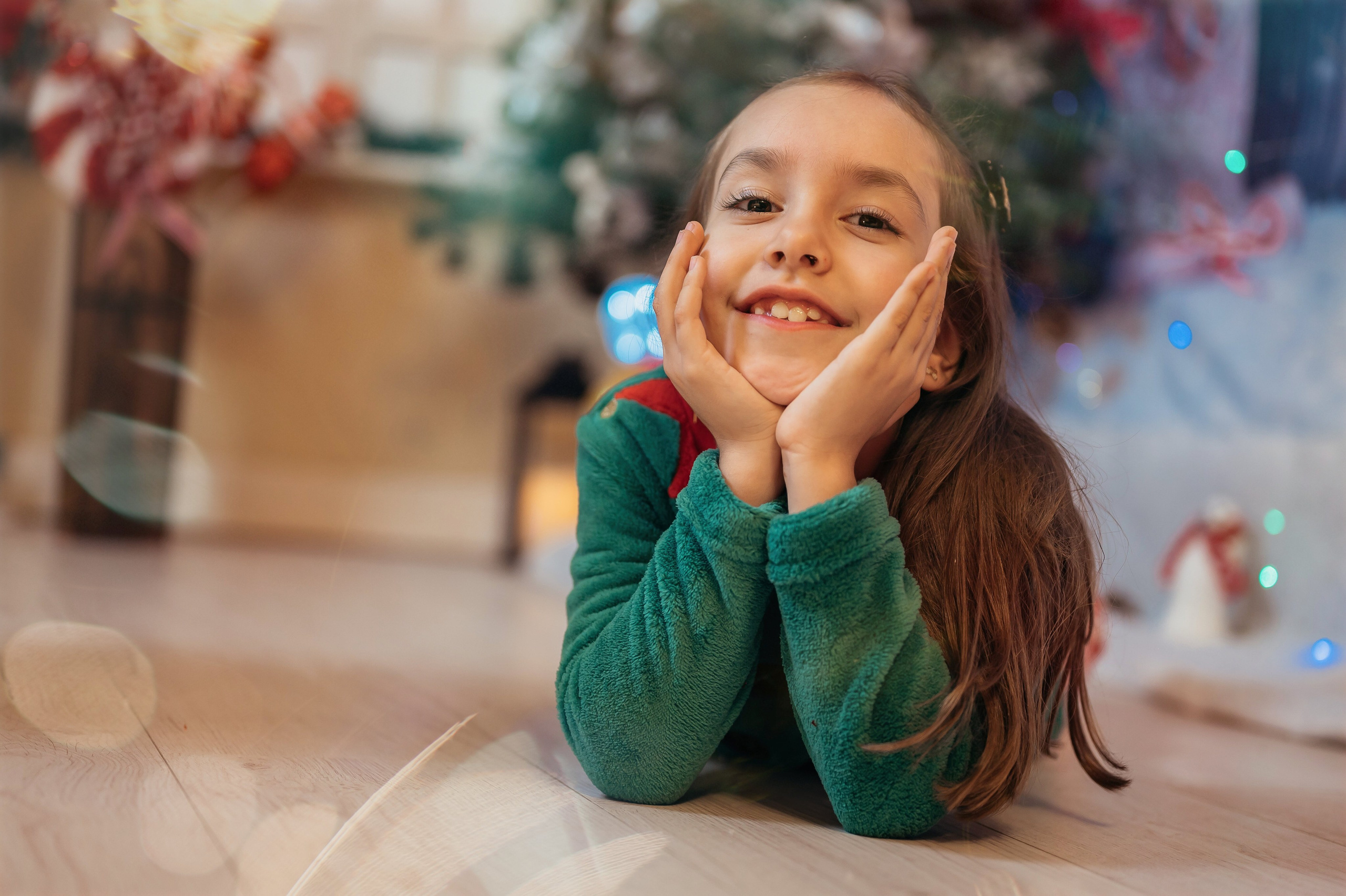 Sedinta Craciun Sofia