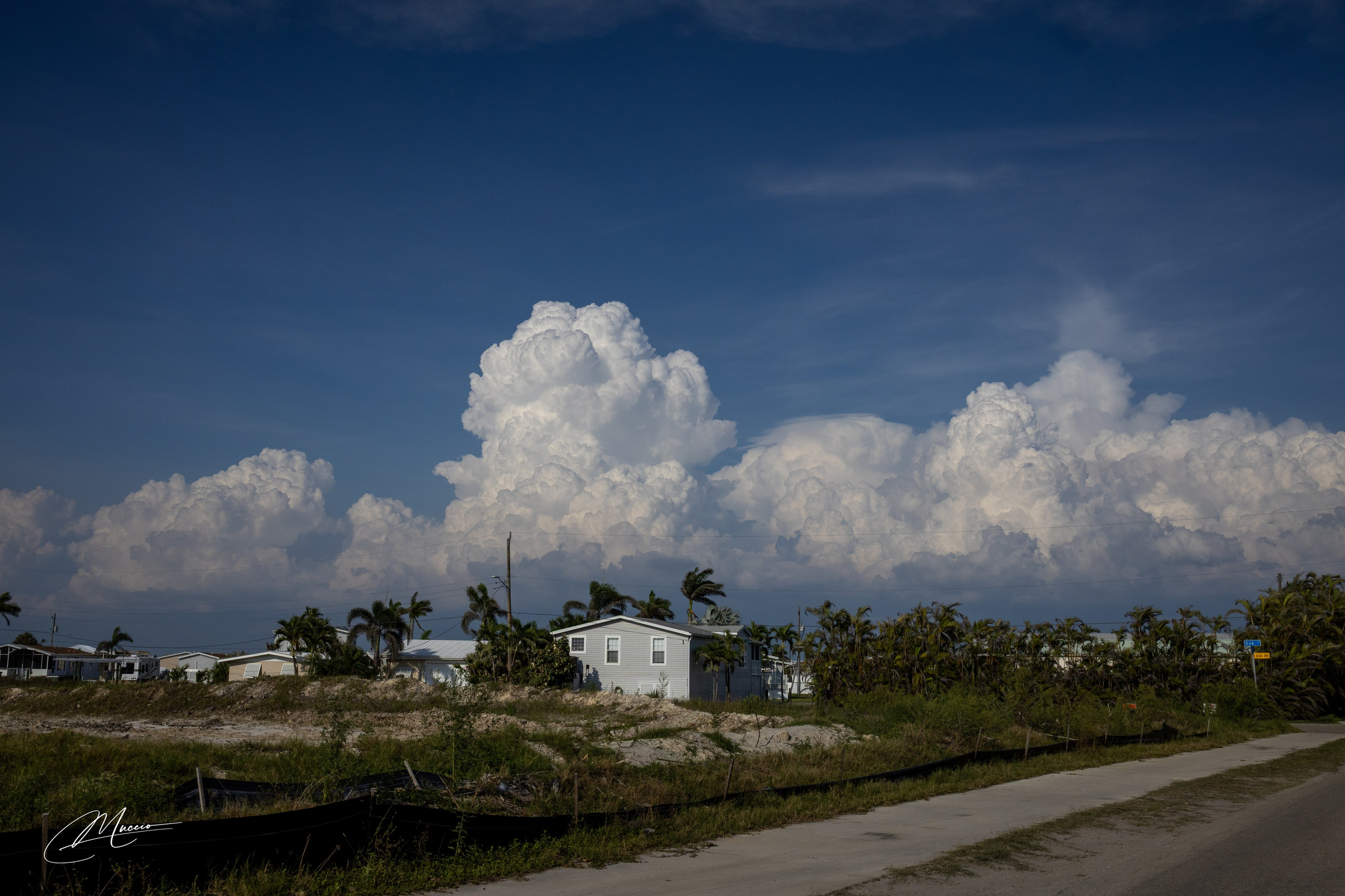 Florida Man — Fort Myers Walkabout. Out and About 239
