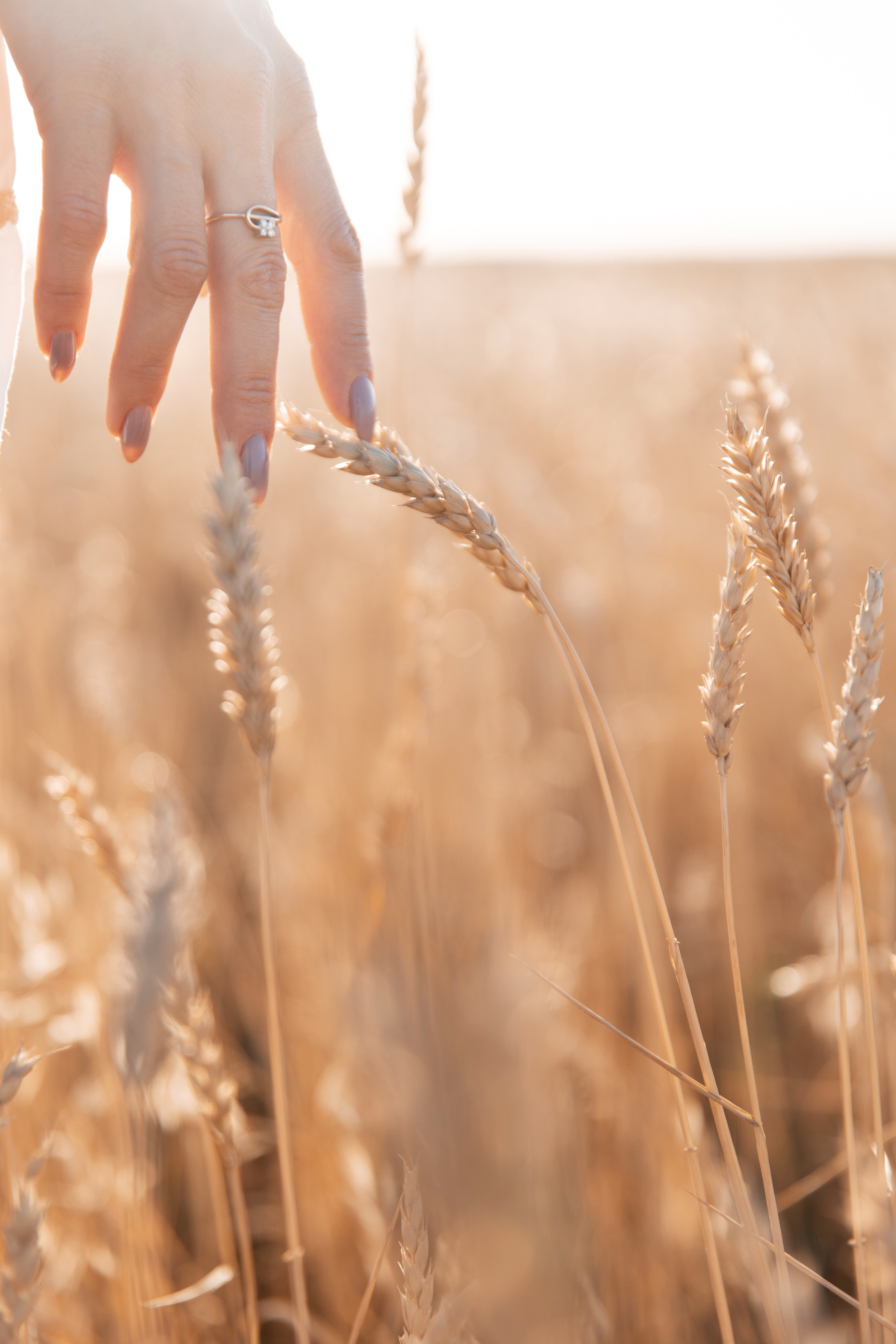 Ksenia. Svetlana Vidru Fotograf aus Speyer und Germersheim