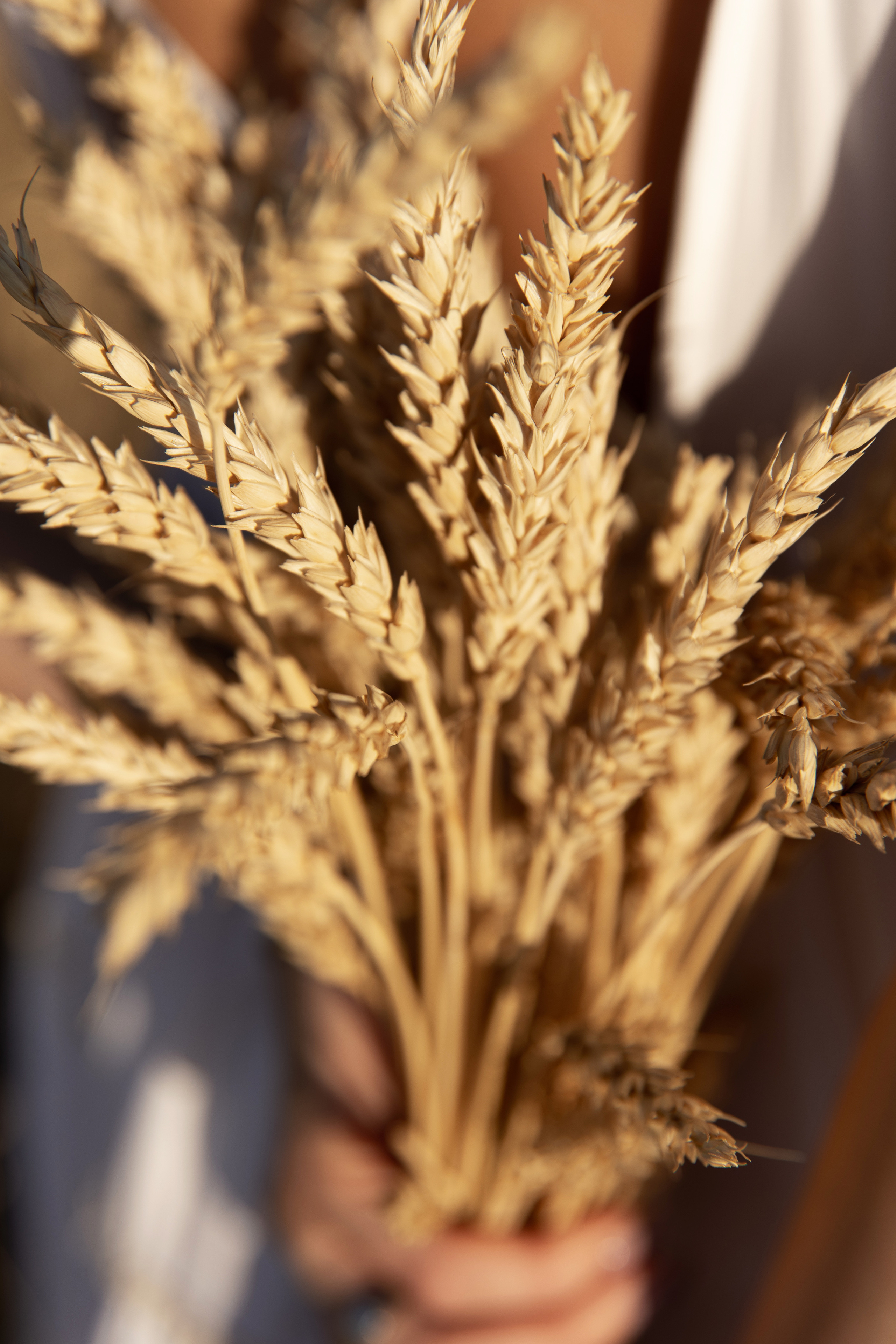 Ksenia. Svetlana Vidru Fotograf aus Speyer und Germersheim