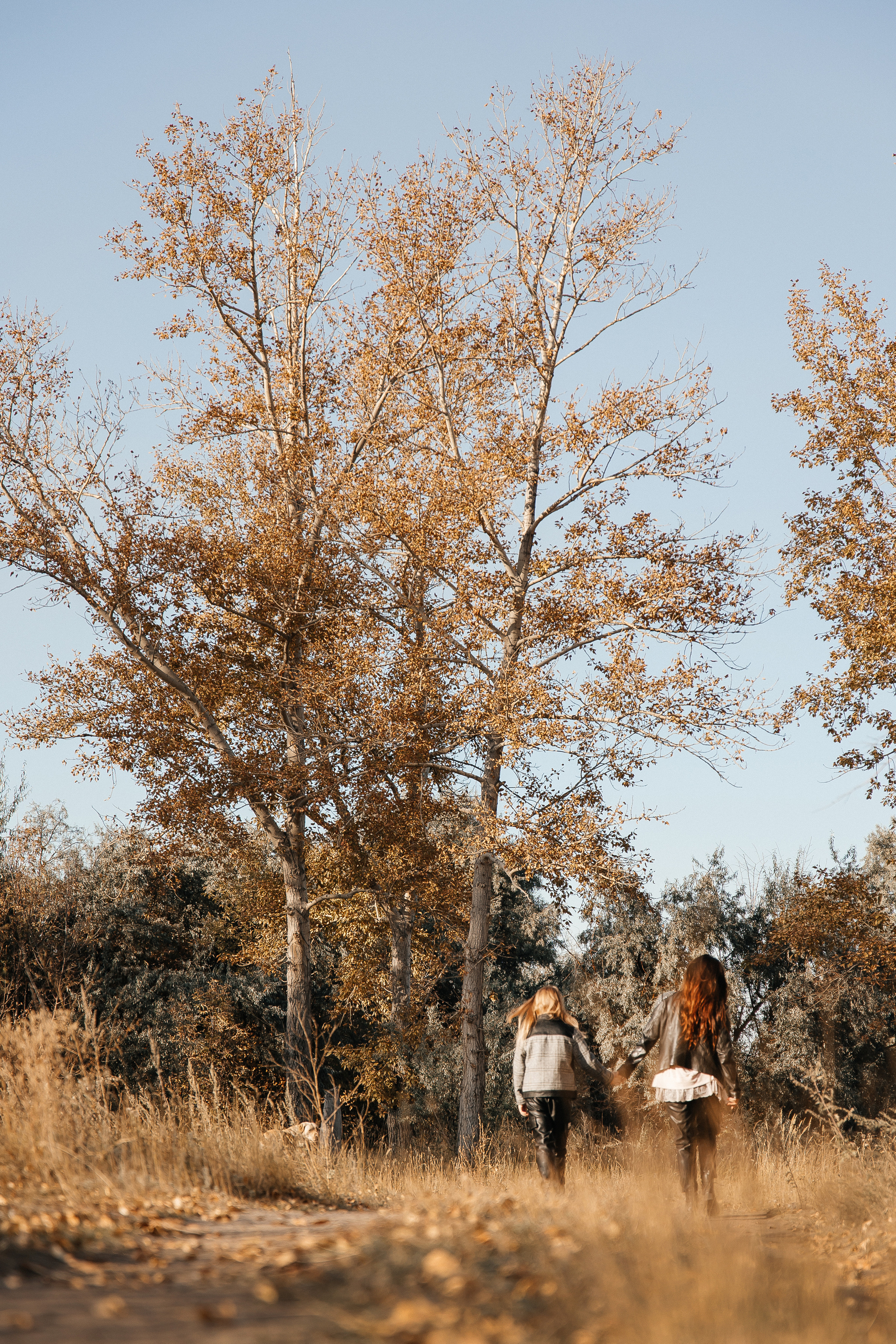 Familienshooting. Svetlana Vidru Fotograf aus Speyer und Germersheim