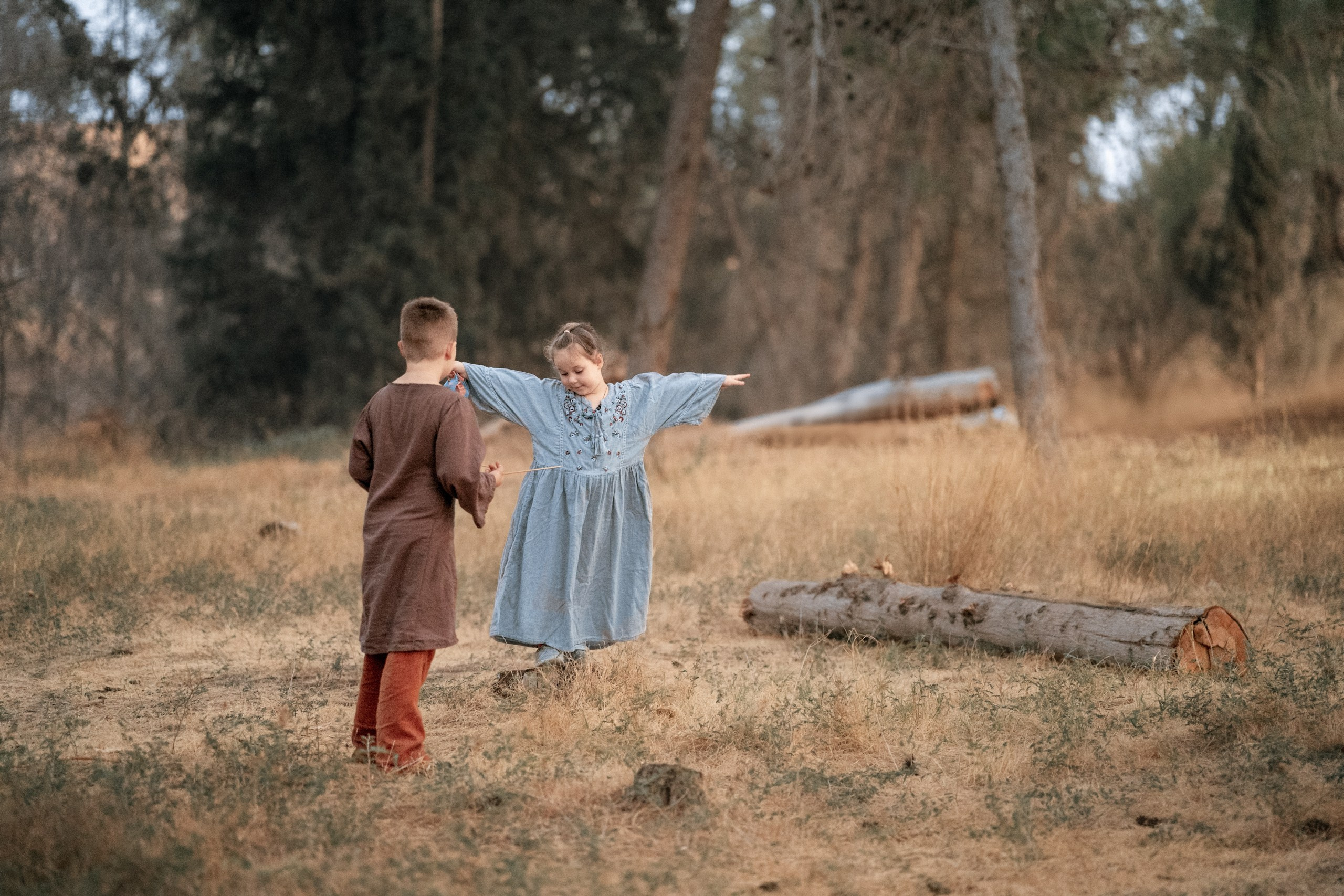 Кланы Скандинавии — клуб реконструкции «Нортман». КРиС «Нортман»