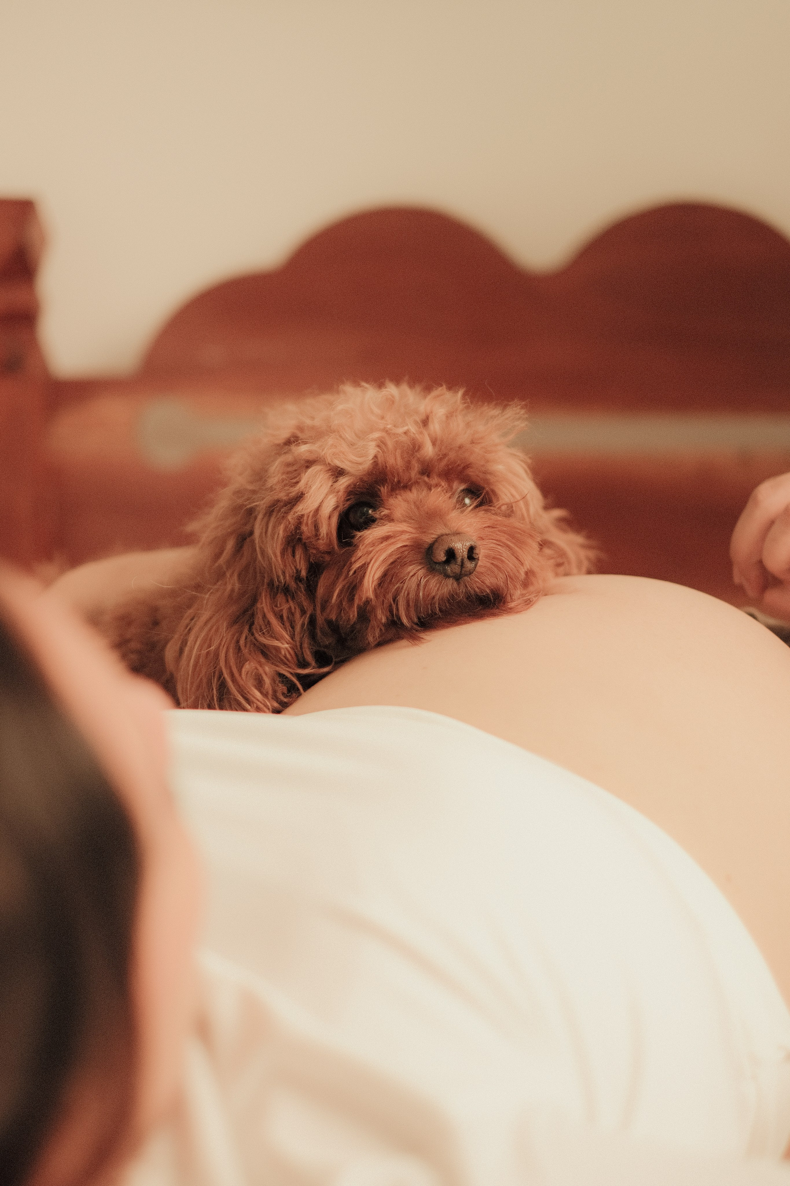 Pauline // Maternity. Interior & Architectural Photographer Philippines | Argen Carlo Camaclang