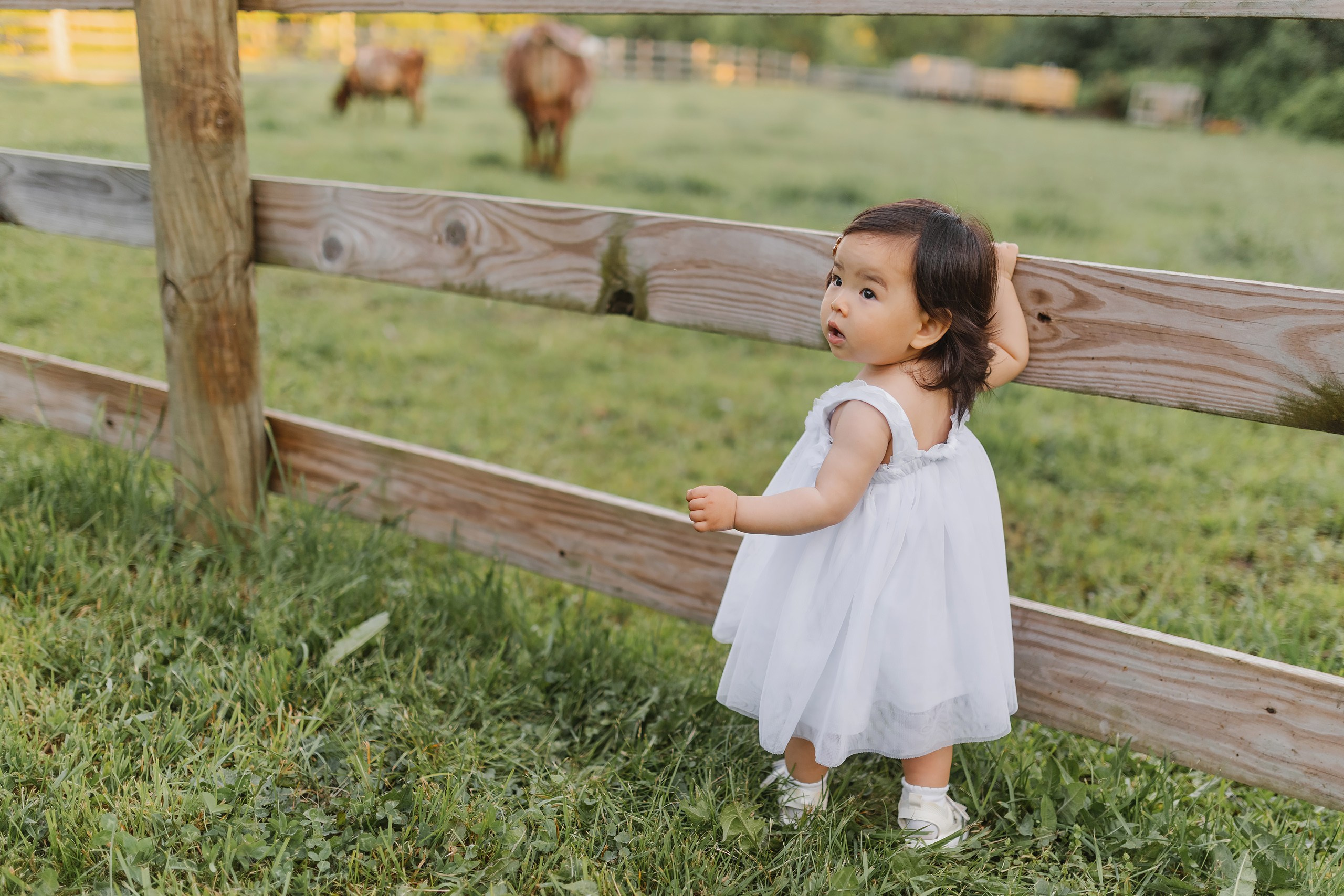 05.25.26 Family Photoshoot. Wedding family event photographer in Chicago Nick Yushevich