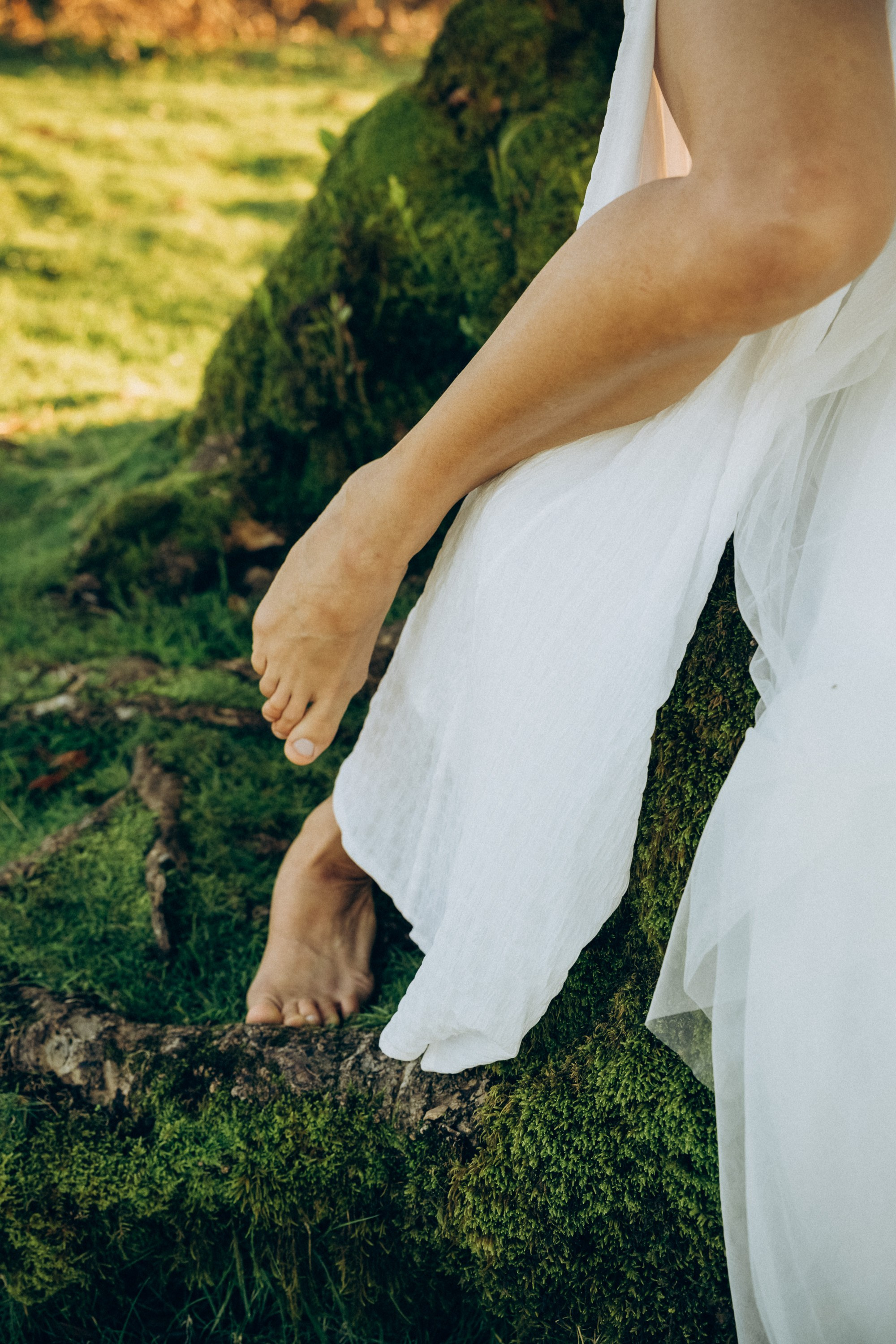 Professional photography in Madeira Photoshoot in the enchanting Fanal Forest