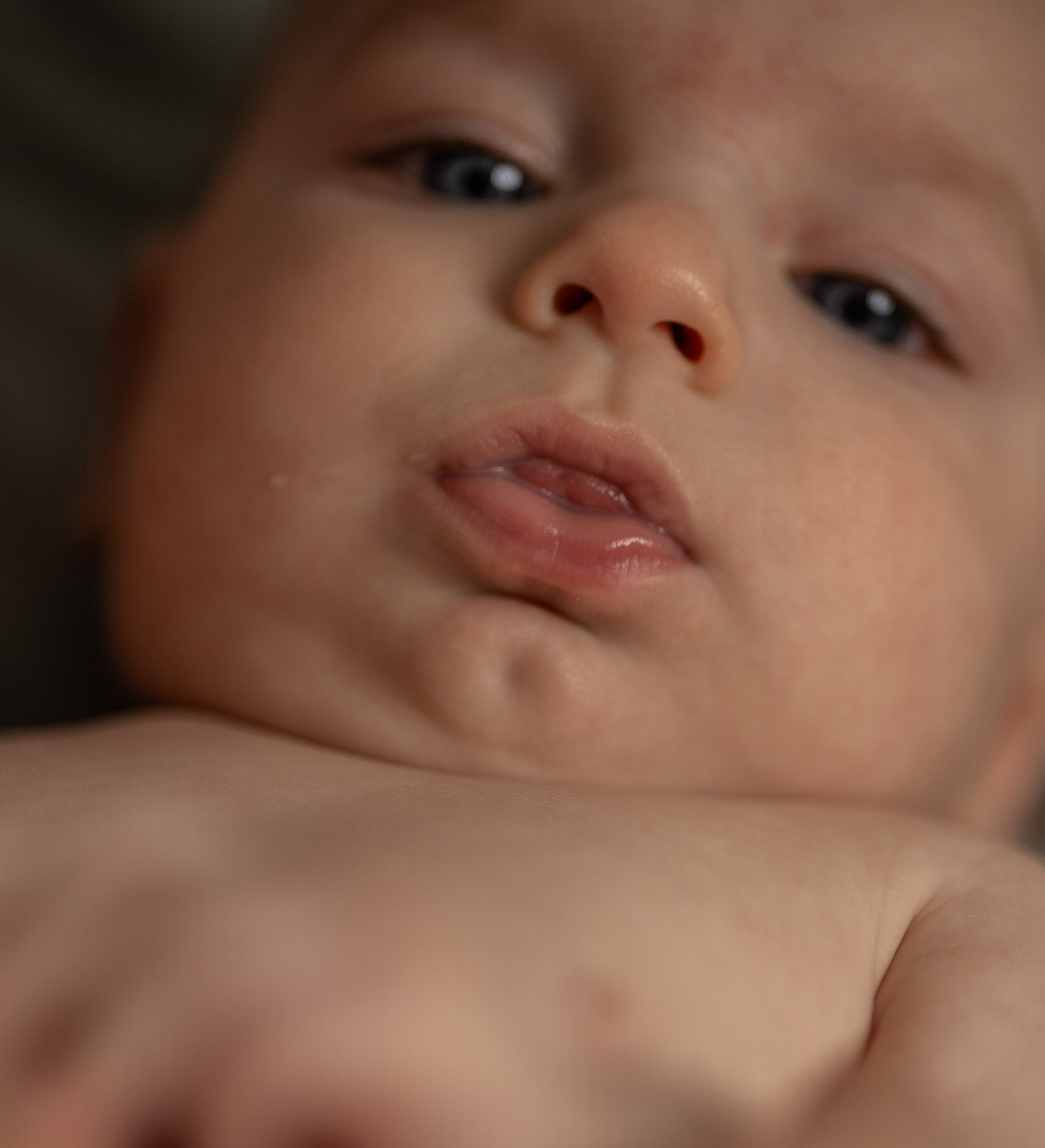 Newborn. Family and Wedding photographer