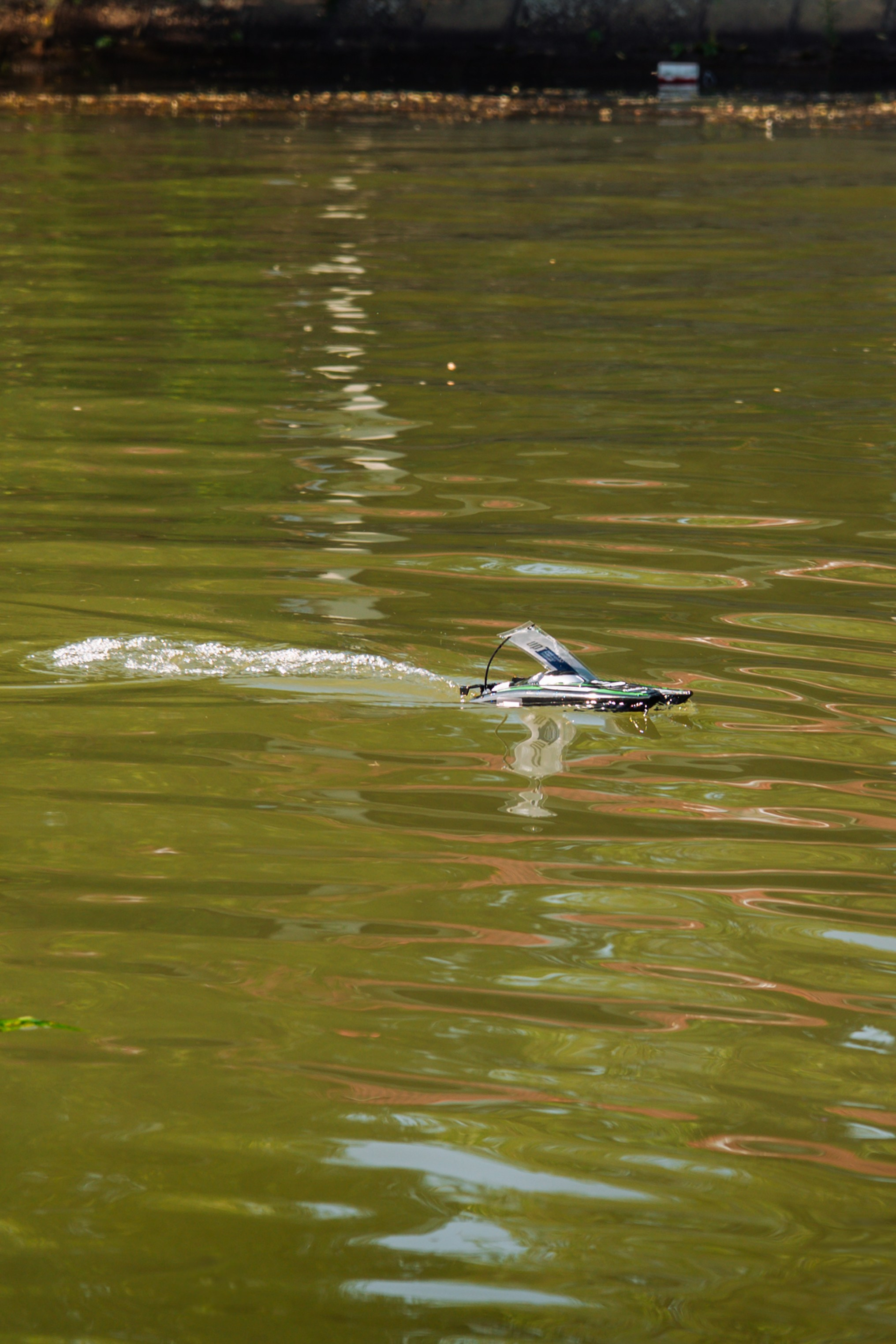 06.04 Bega Boat Race. Cozac Cristian Photographer
