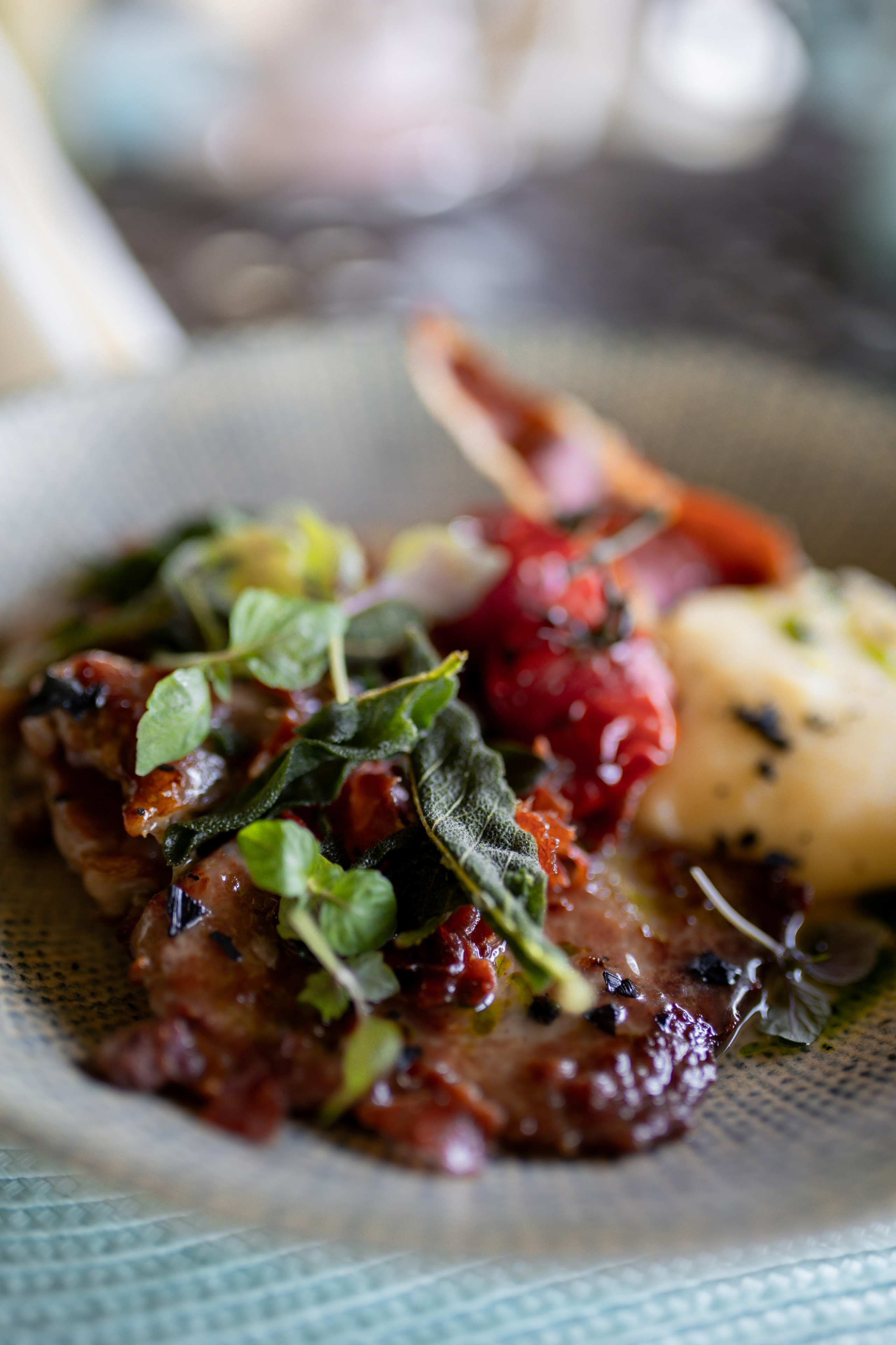 Casa Timis. Patricia Morenci — Mountain Adventures for the Wild at Heart