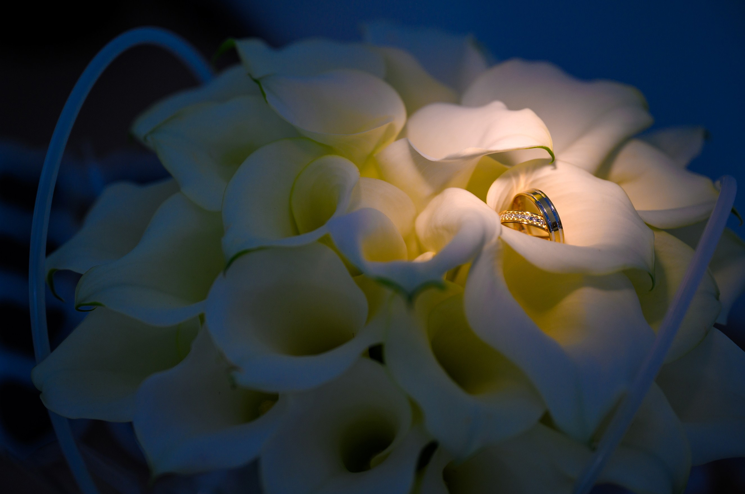 Nunta Andreea si Marian