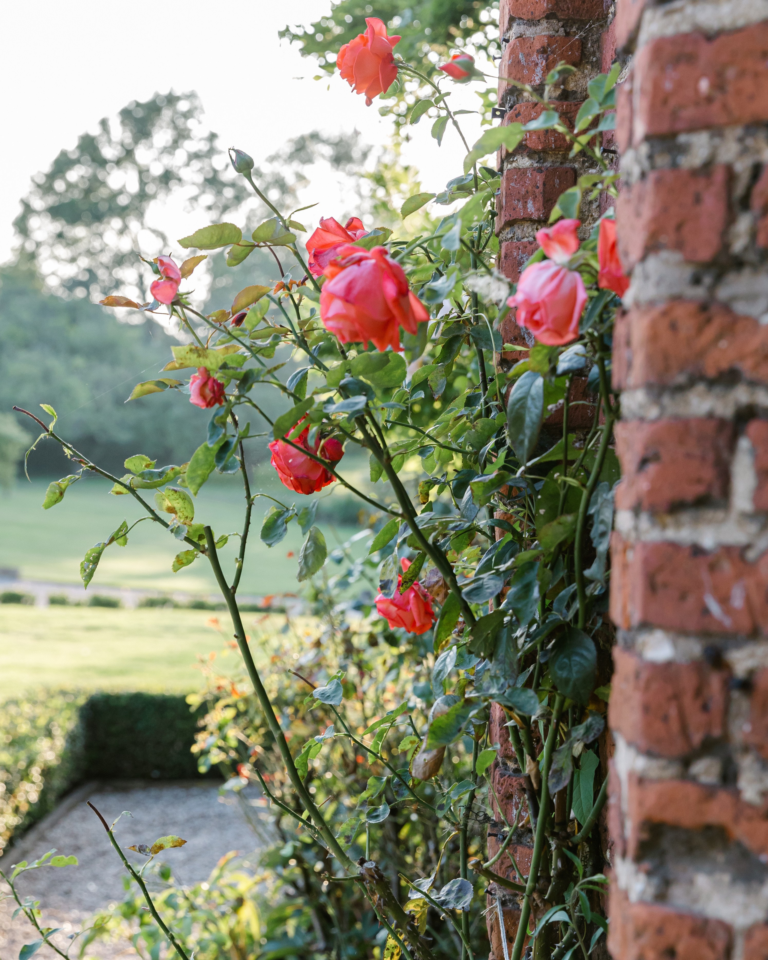 Daniel & Ryan -Leez Priory. September, 2023. Timeless Wedding & Event Photography from London to the world