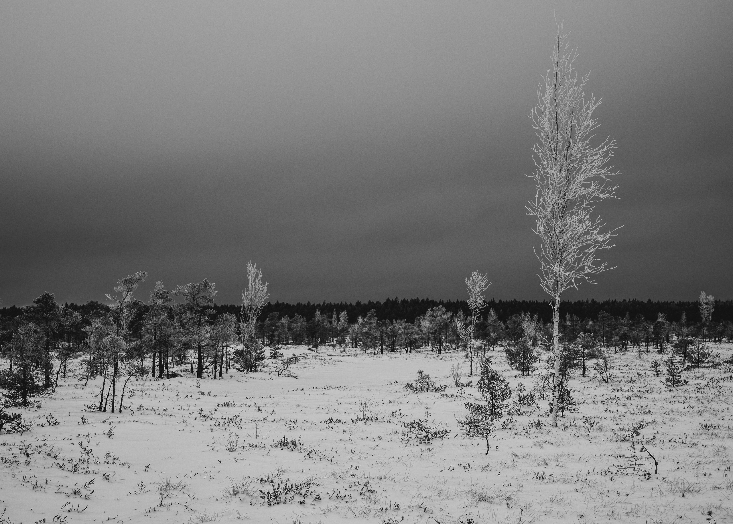 Dažādas fotogrāfijas. Sajūtu un mirkļu fotogrāfs no Rīgas, Mārtiņš Babris