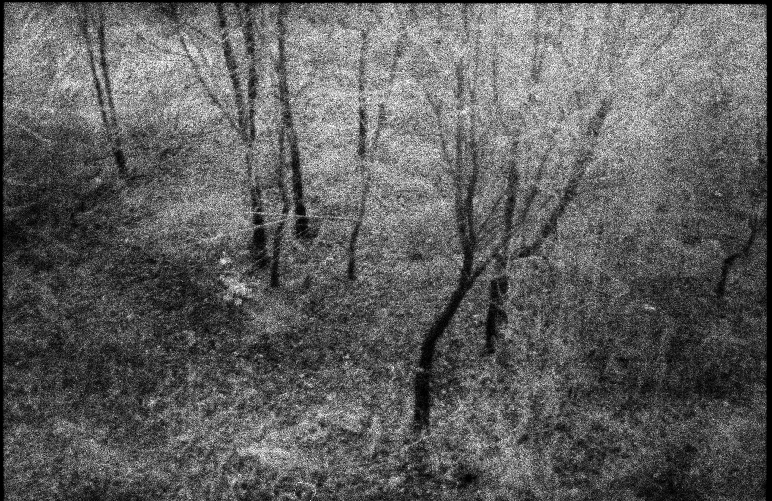 Silent light. Natalia Parfenova visual artist film photographer