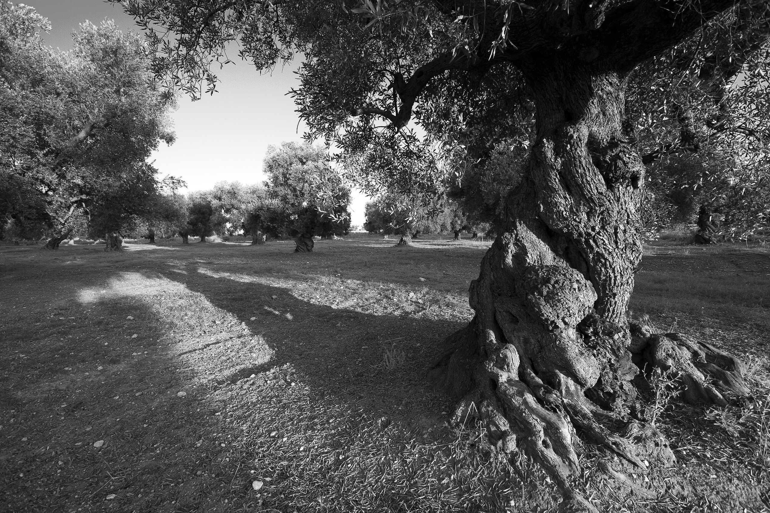 Citiscape, Landscapes, Arcitecture. Marco Greco Architectural and interiors photographer based in Apulia Italy Fotografo di architettura interni Puglia B&B Case vacanze Hotel