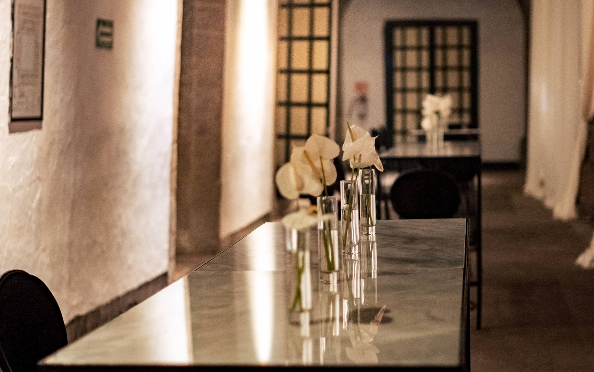 Aagya & Kishore. Wedding and family photographer in Mexico City