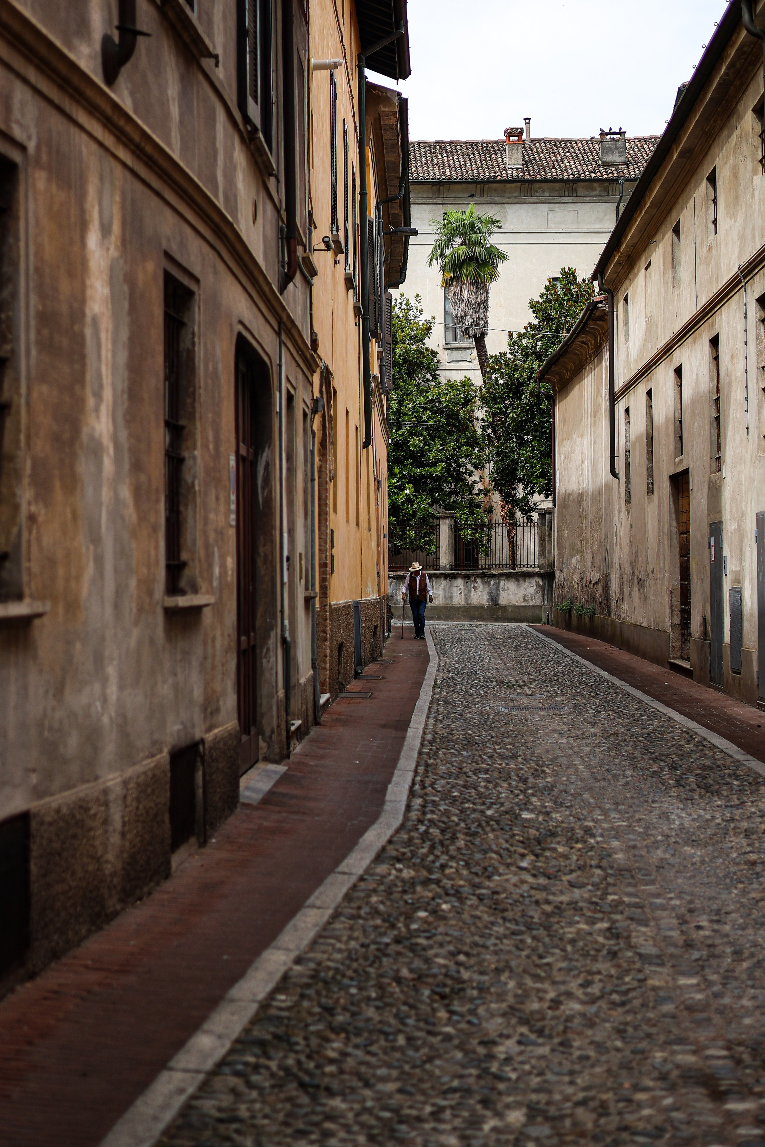 Street. ARTAMIND Photography. Portraits, Family Sessions, Events. Buffalo, NY