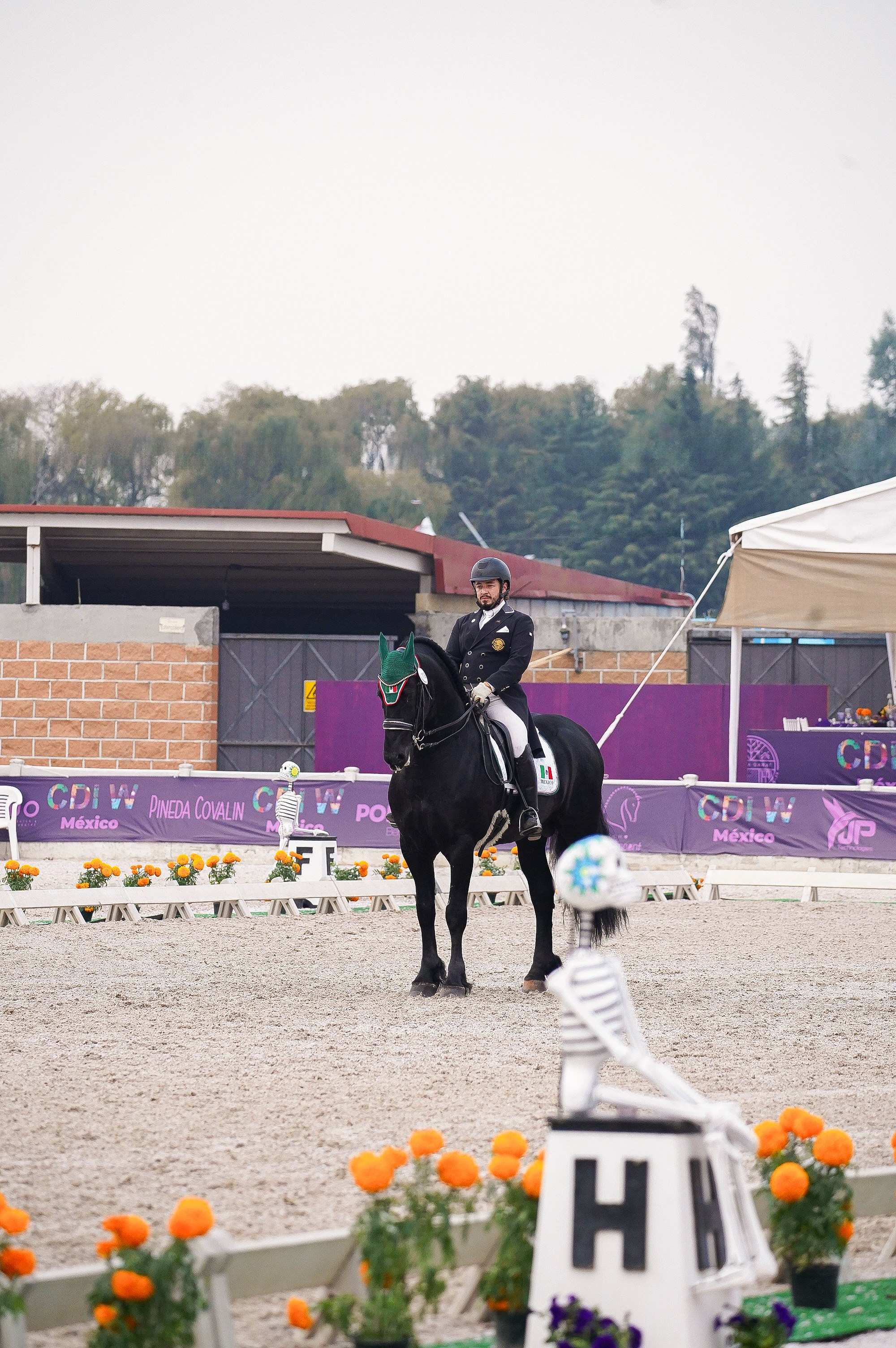 Sport events. Catrina Frolova photography