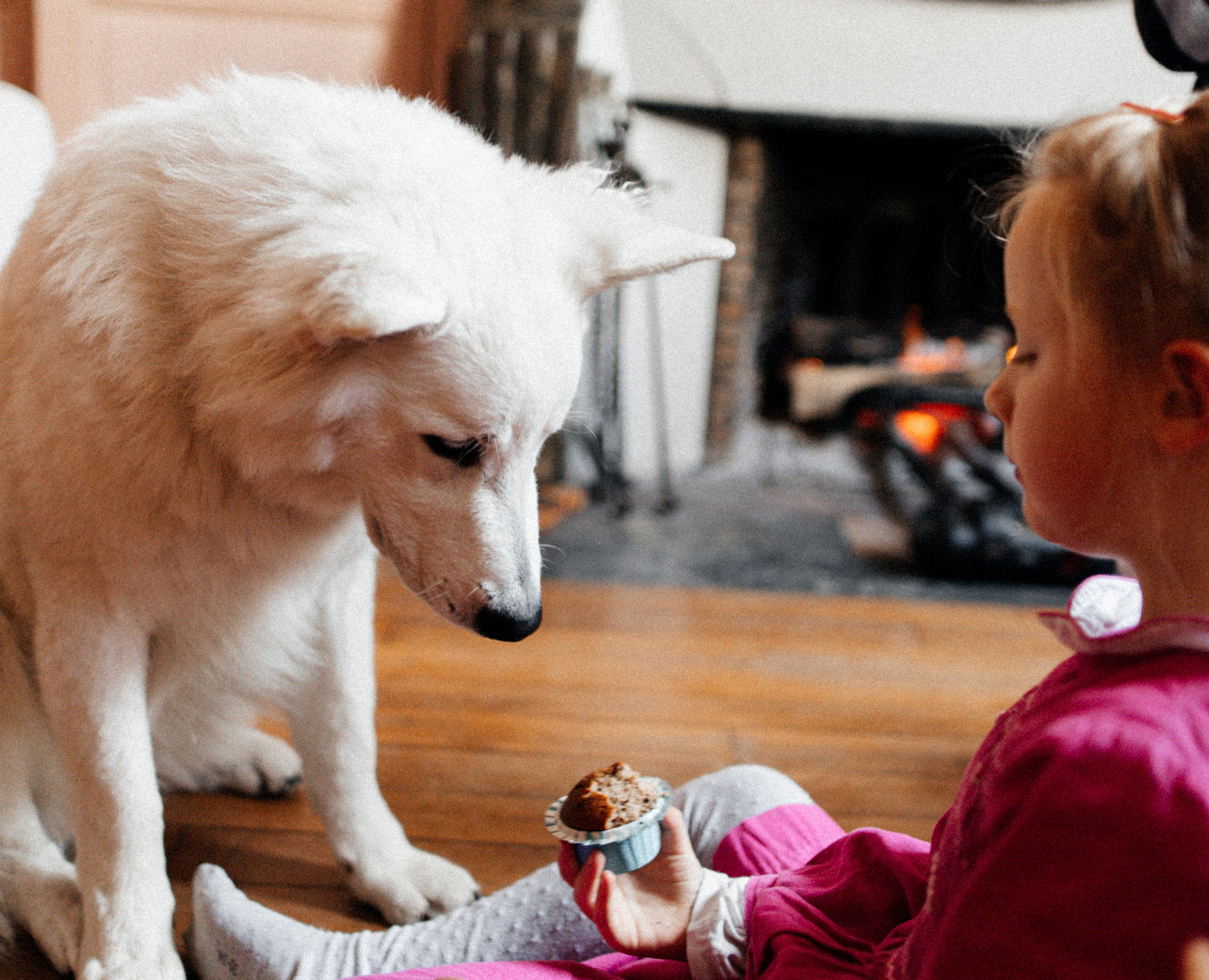 Un jour près de la Cathedral. Photographe à Chartres Ekaterina Kudinova