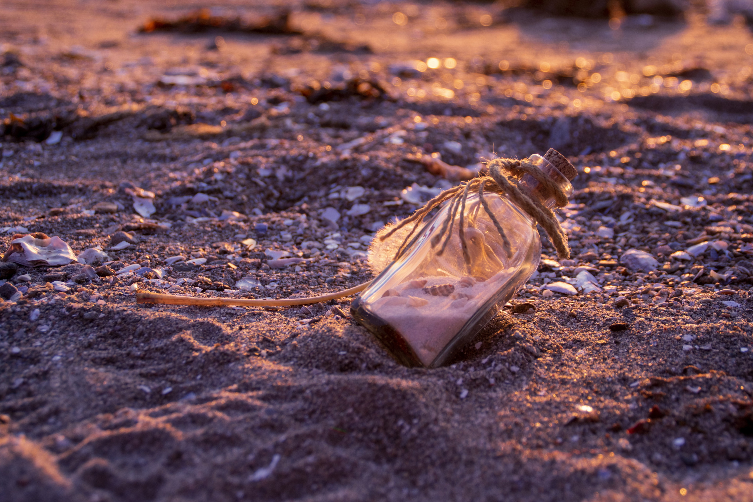 Portfolio. Photographer in Sotenäs municipality. Fotograf i Sotenäs kommun