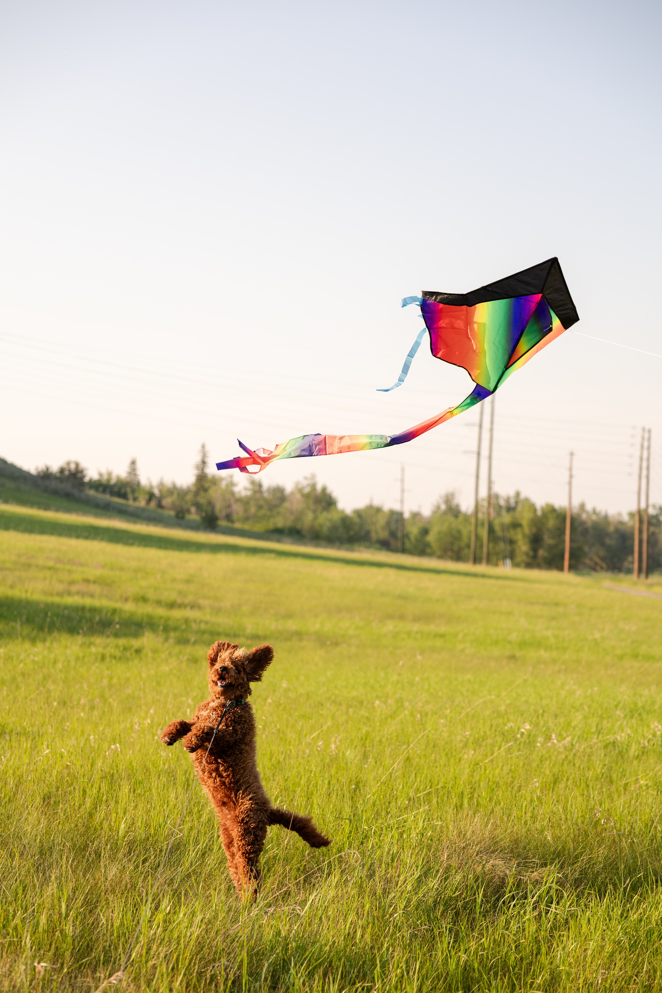 Anna Platon and Bobik. Photographer Stanislav Antonov