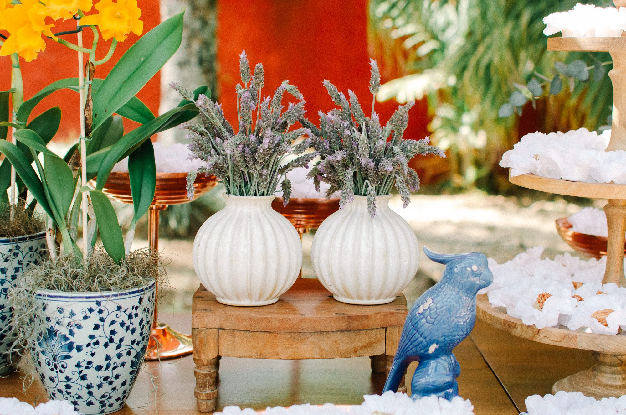 Clara e Arthur — Fazenda das Cabras