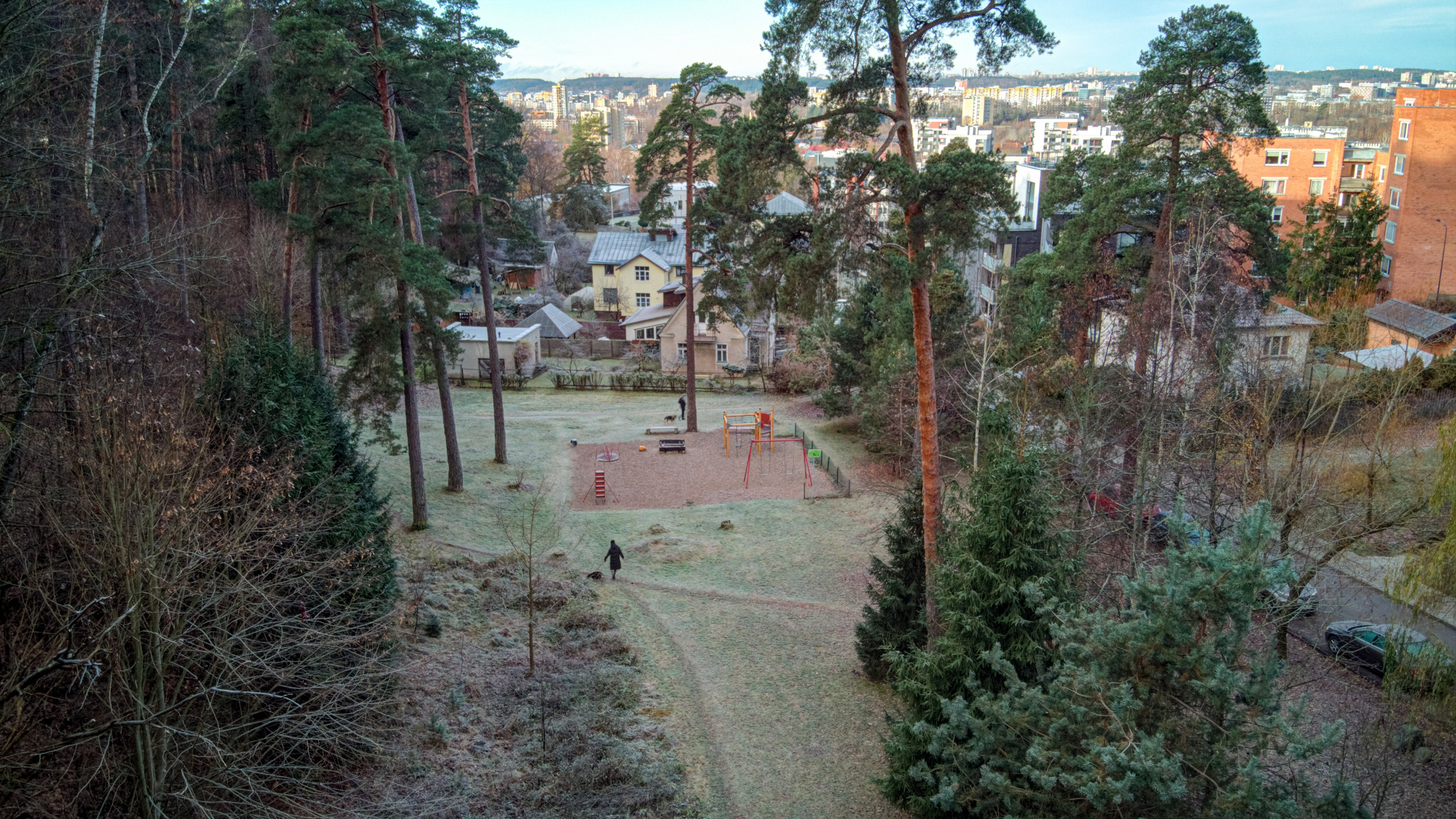 Dronas Antakalnis, Kanklių 10. Elina Sapiega fotografė Vilniuje