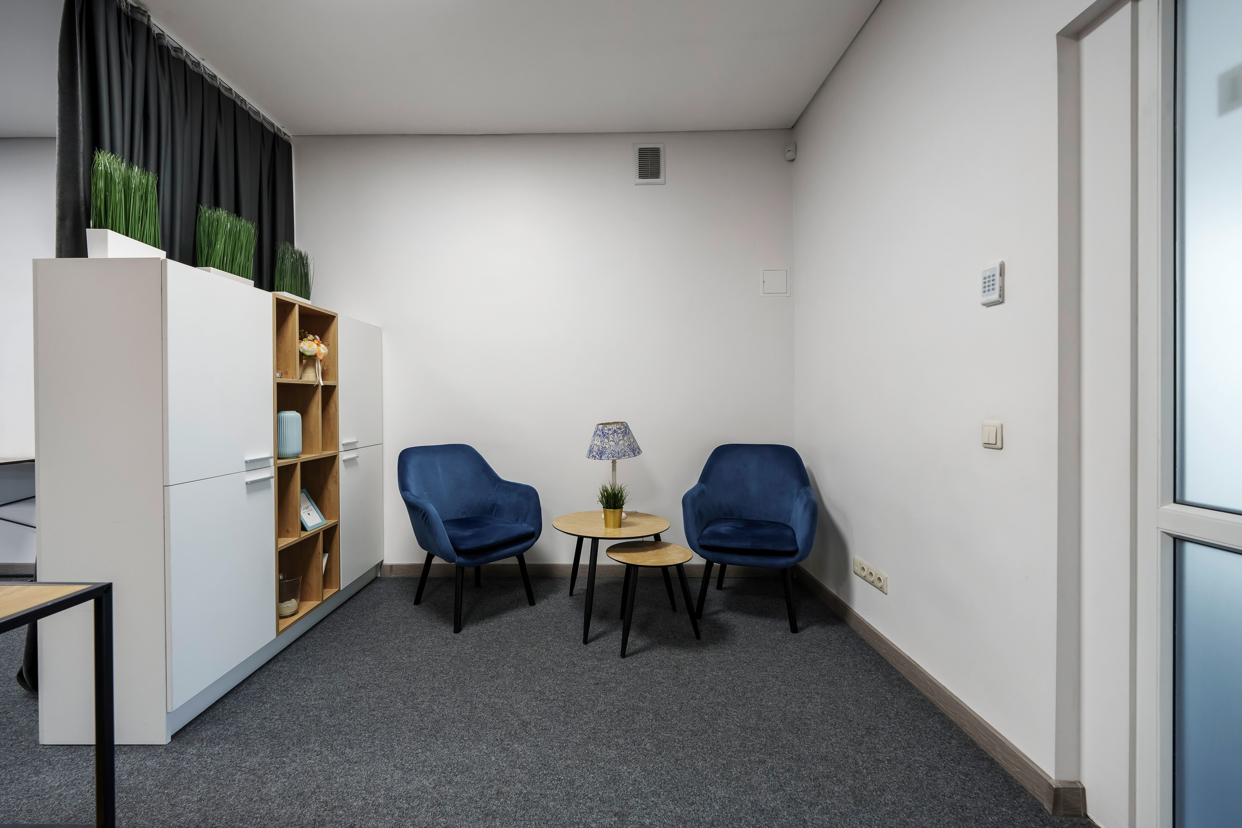 Saltoniškių g. 31. Elina Sapiega fotografė Vilniuje