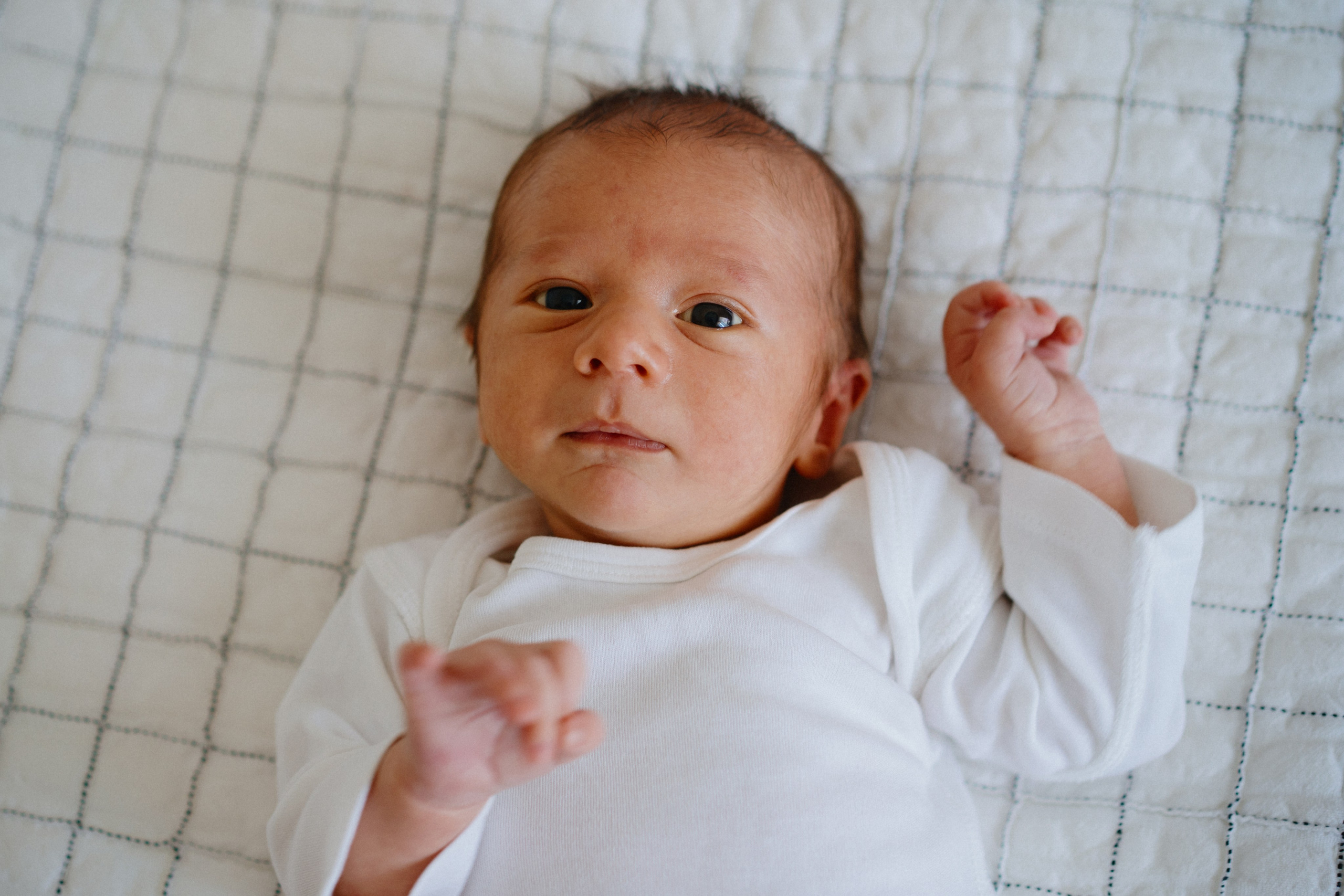 New Life. Elena Pretzner Photography