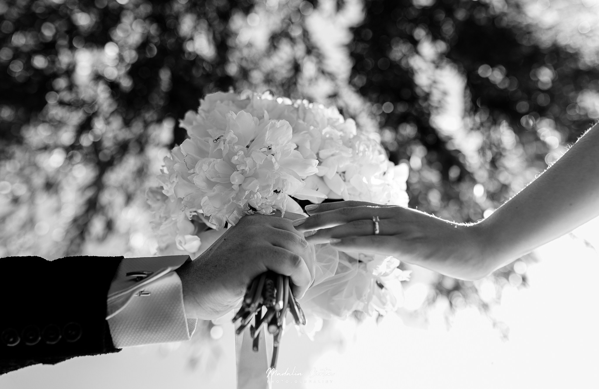 Cezara & Alex | Nuntă la Domeniile Streiului - Mercurean Evenimente | Bacia. Mădălin Ciortea - fotograf de nuntă și de familie | Dream Art Events