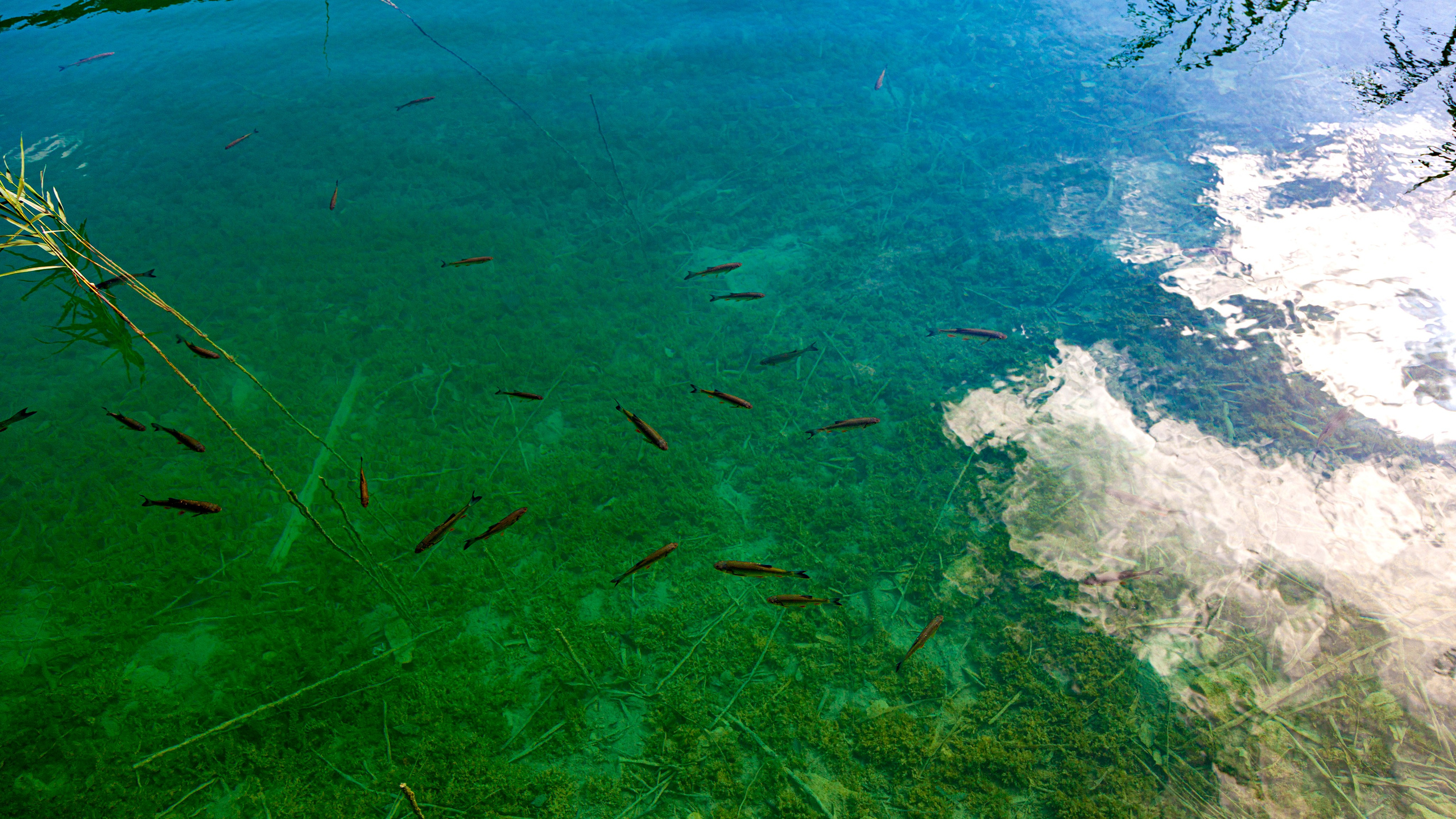 161.Plitvice lakes.17.9.2023. Путешествия в формате 360......